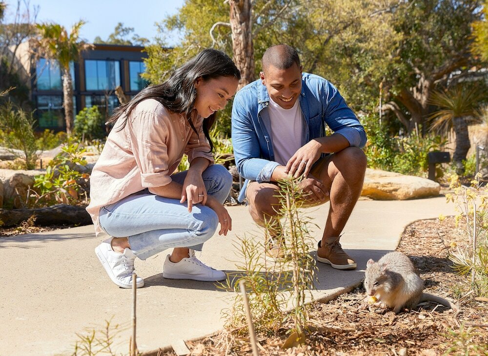 Фото Wildlife Retreat at Taronga