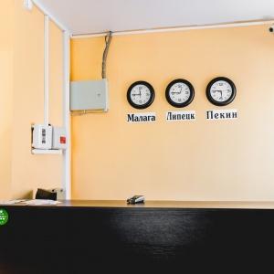 Фото Базилик