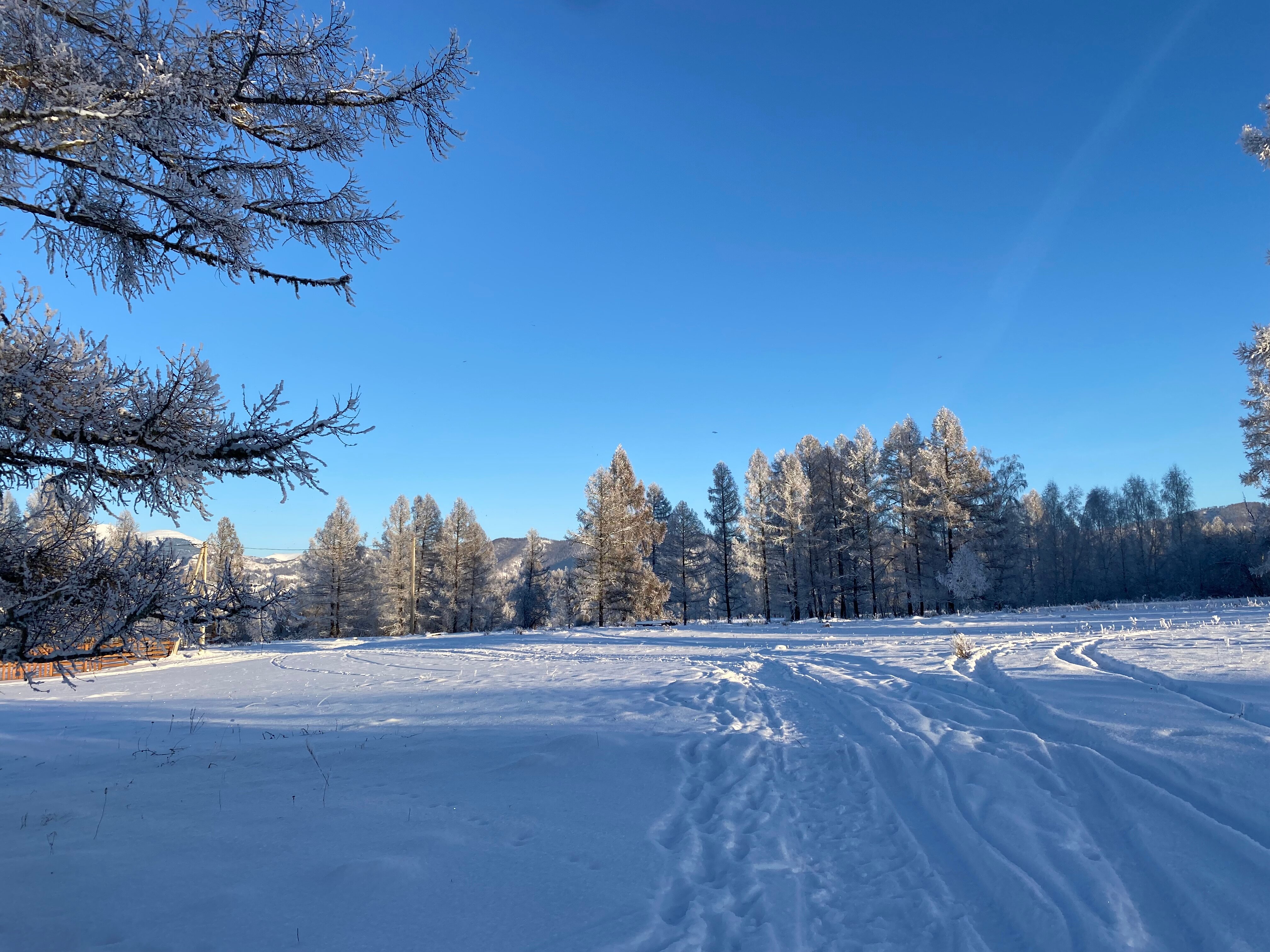 Фото Аврора