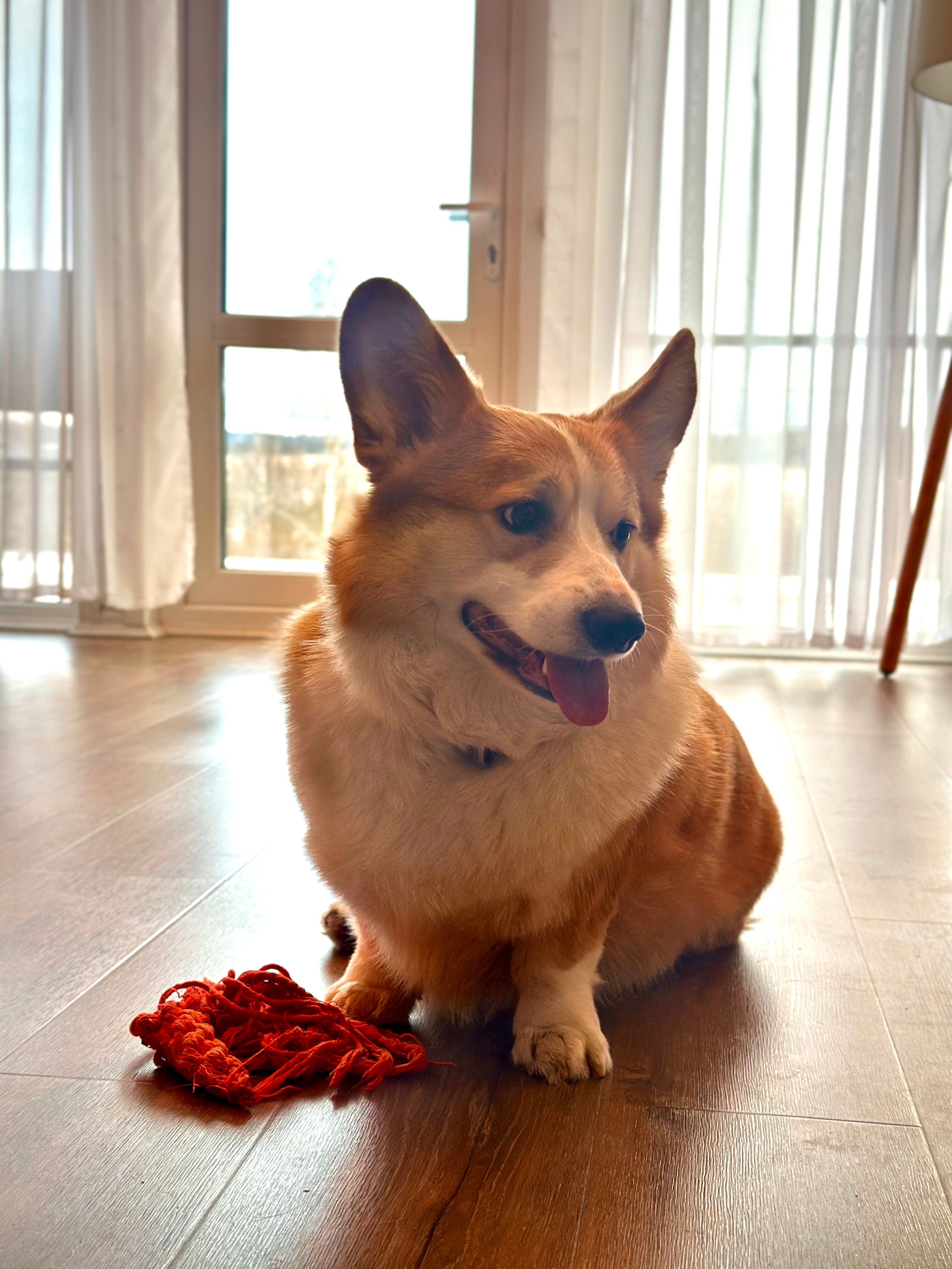 Фото Prechistoe Home