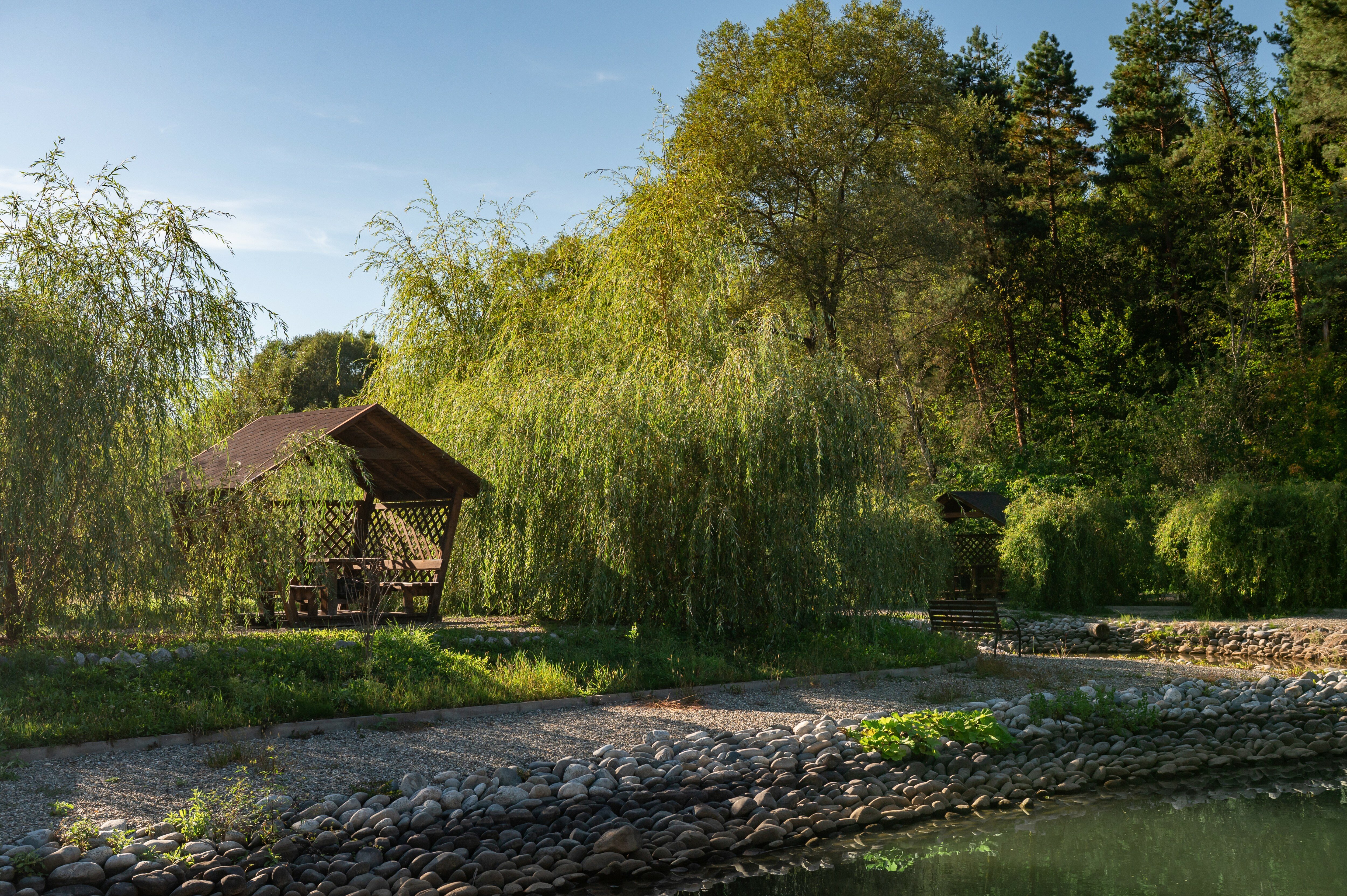 Фото Павлова поляна