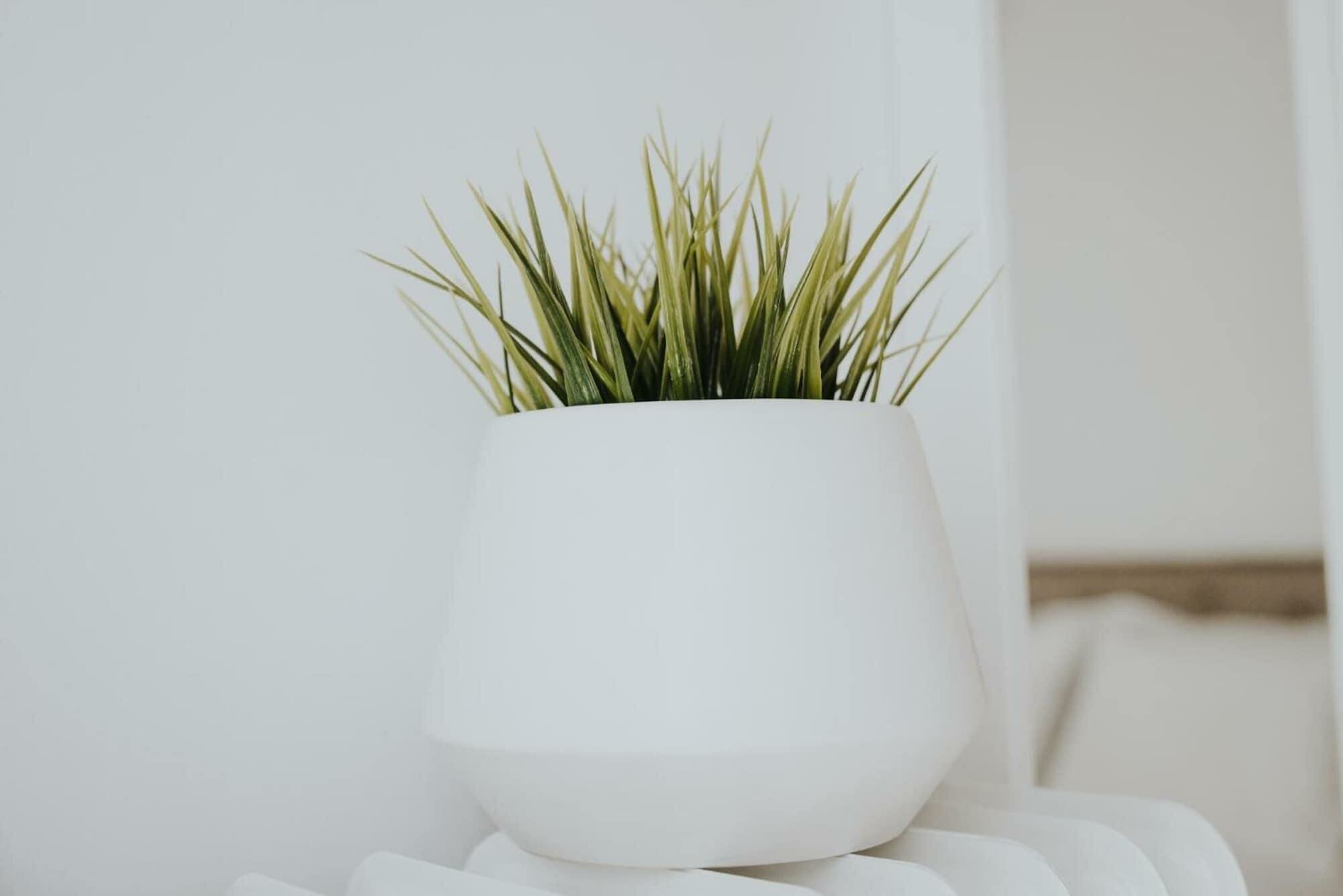 Фото Voulis Attico Rooms & Apartments