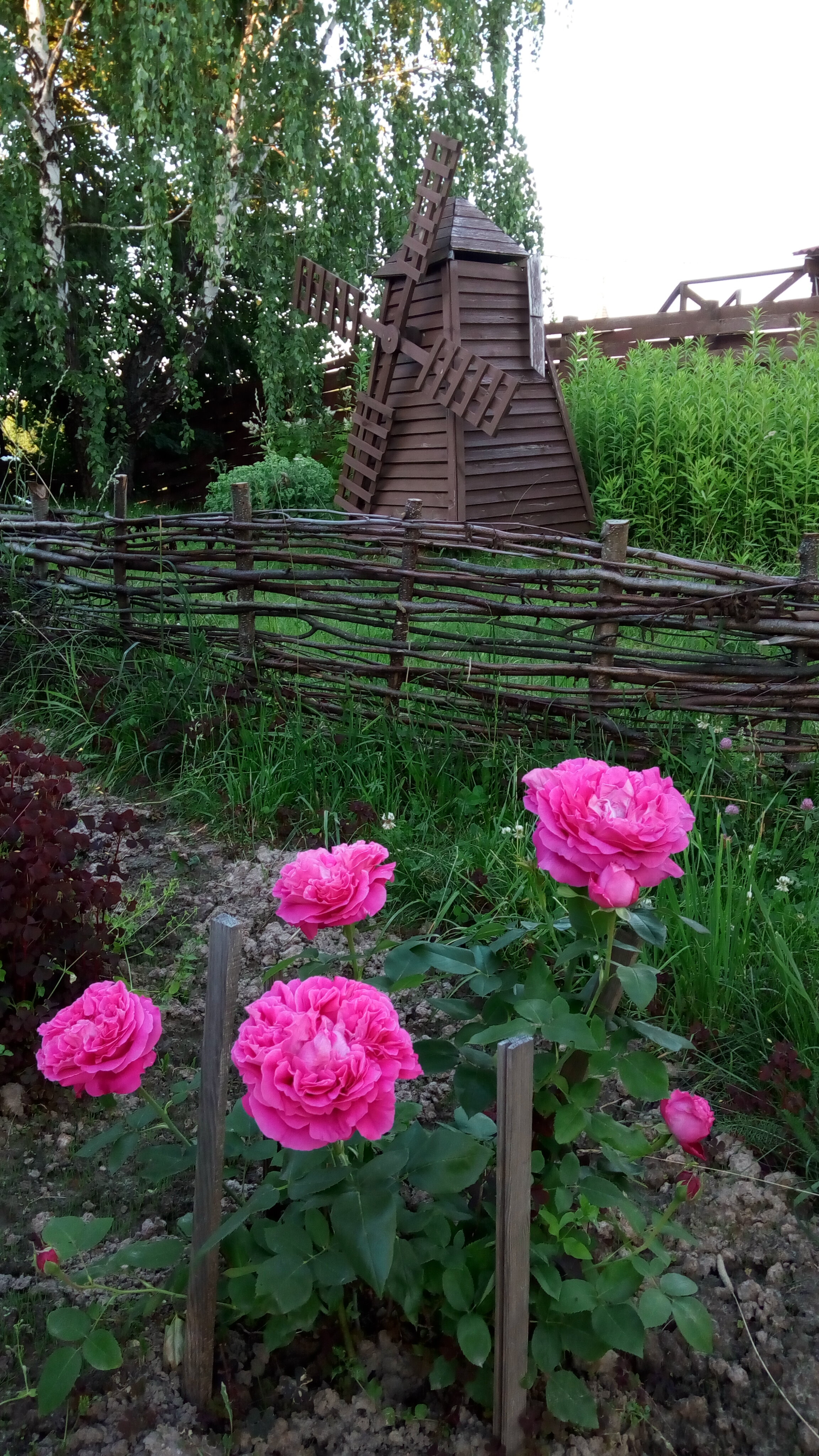 Фото Раздолье