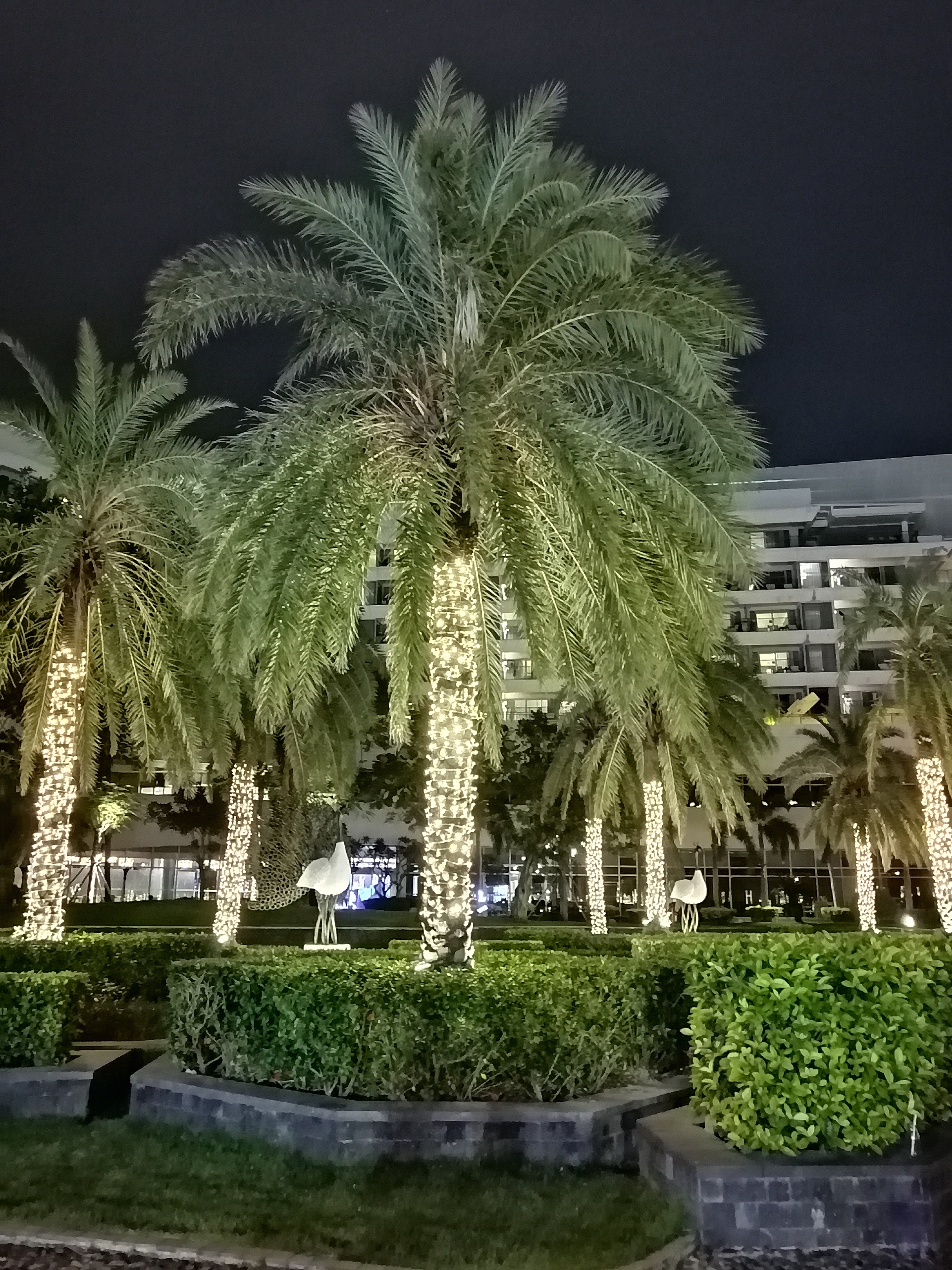 Фото Mgm Grand Sanya