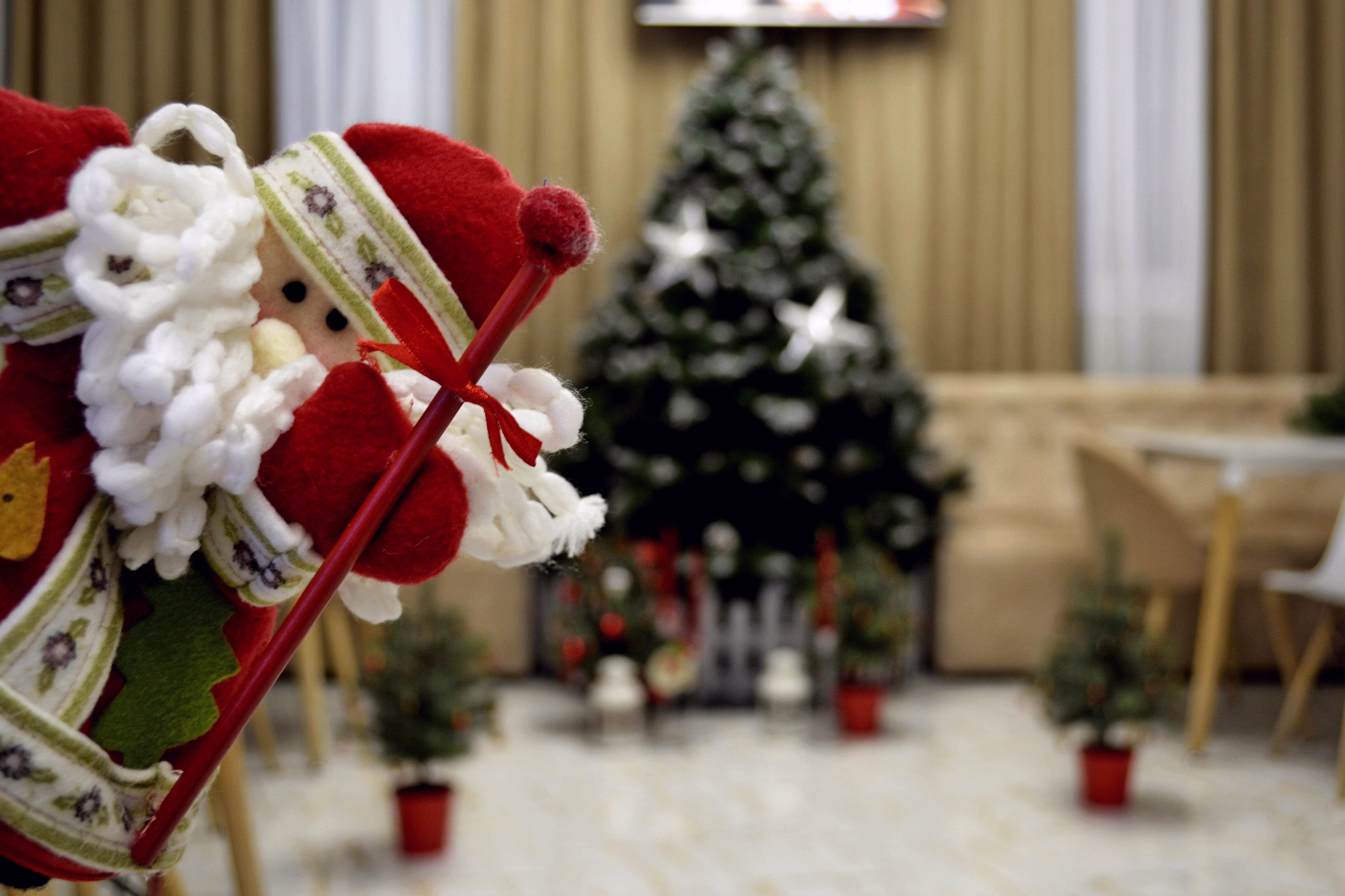 Фото Park & House Hotel