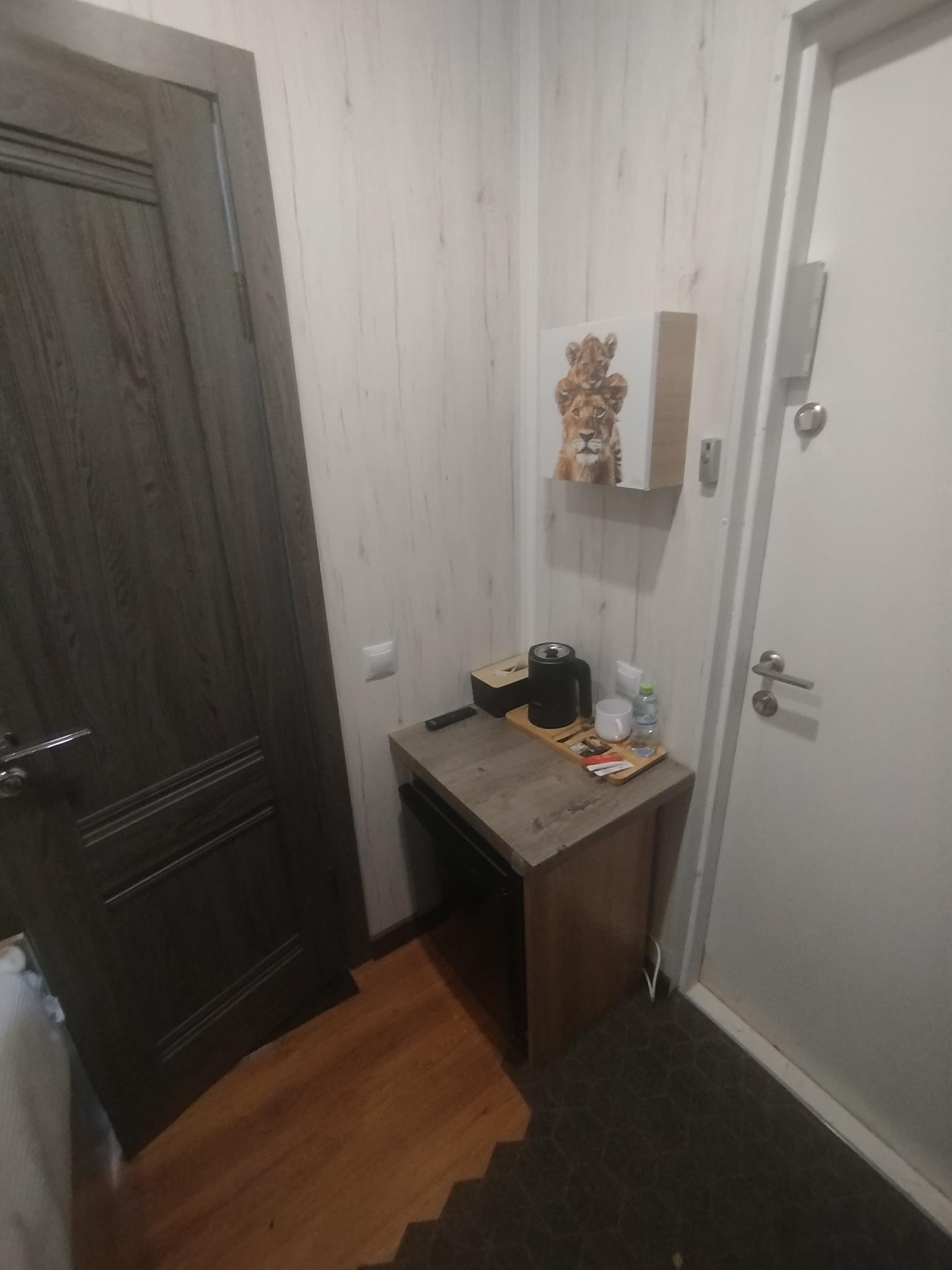 Фото Лесной Шереметьево