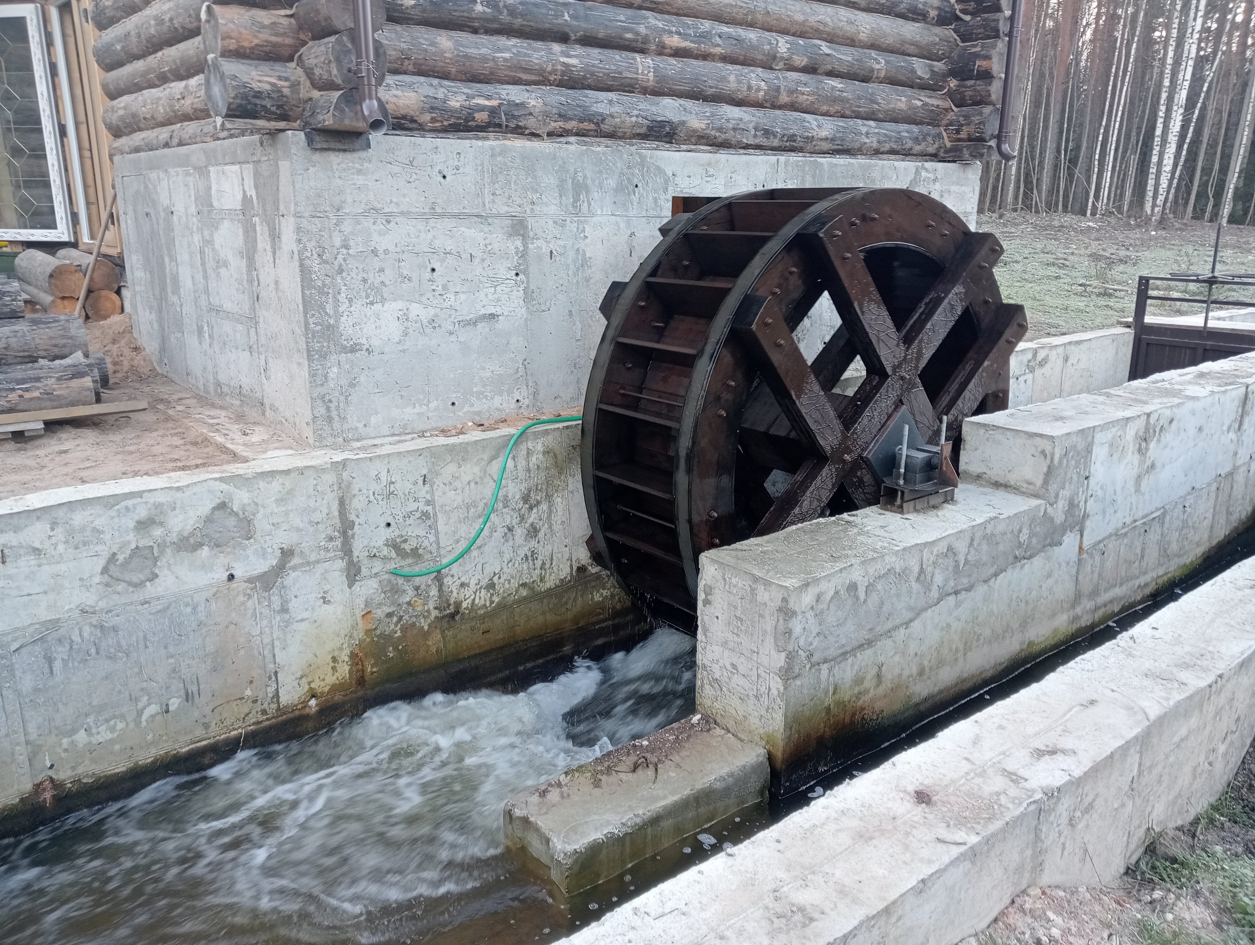 Фото Хитрый Лис