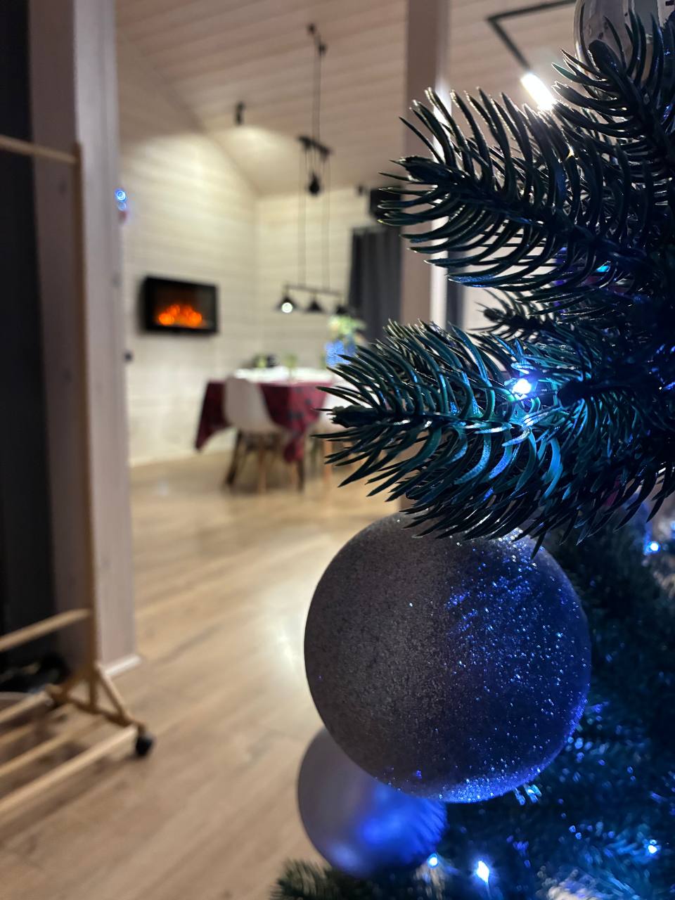 Фото У Березы