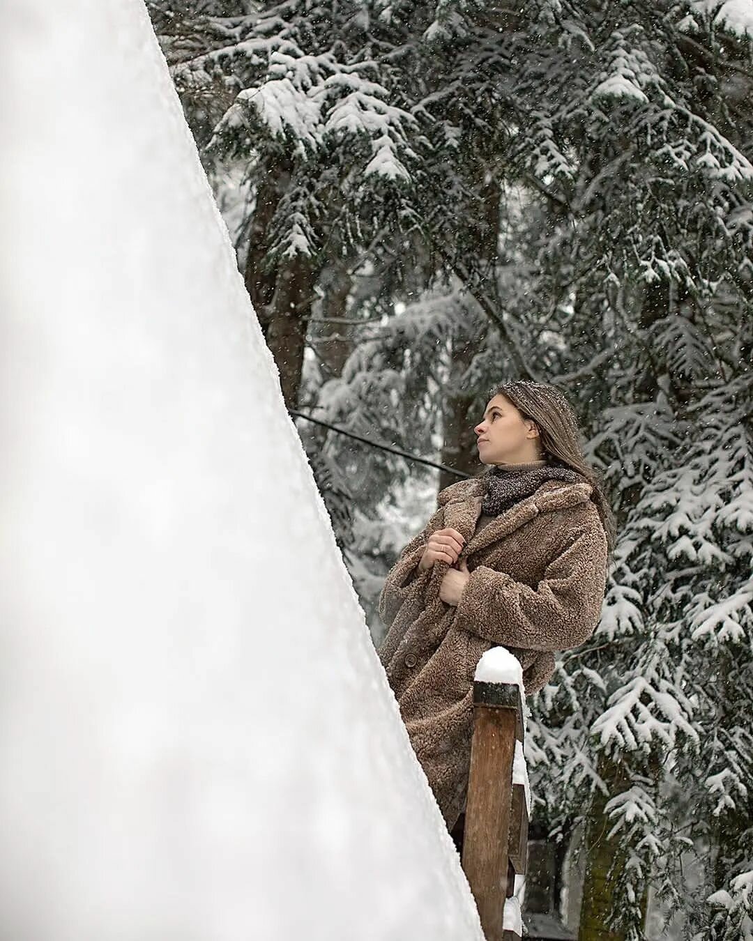 Фото Ёлки House