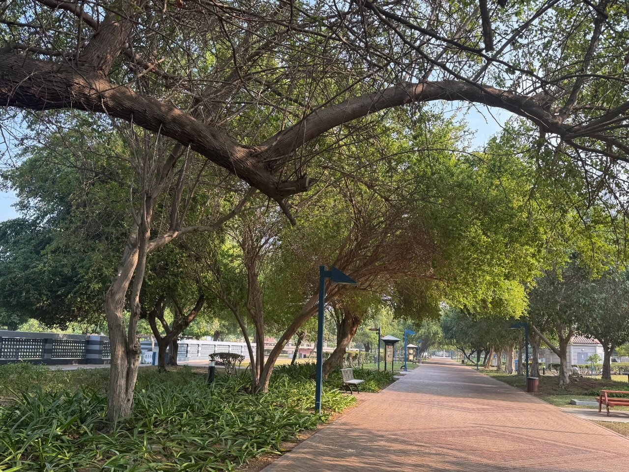 Фото TRYP by Wyndham Abu Dhabi City Center