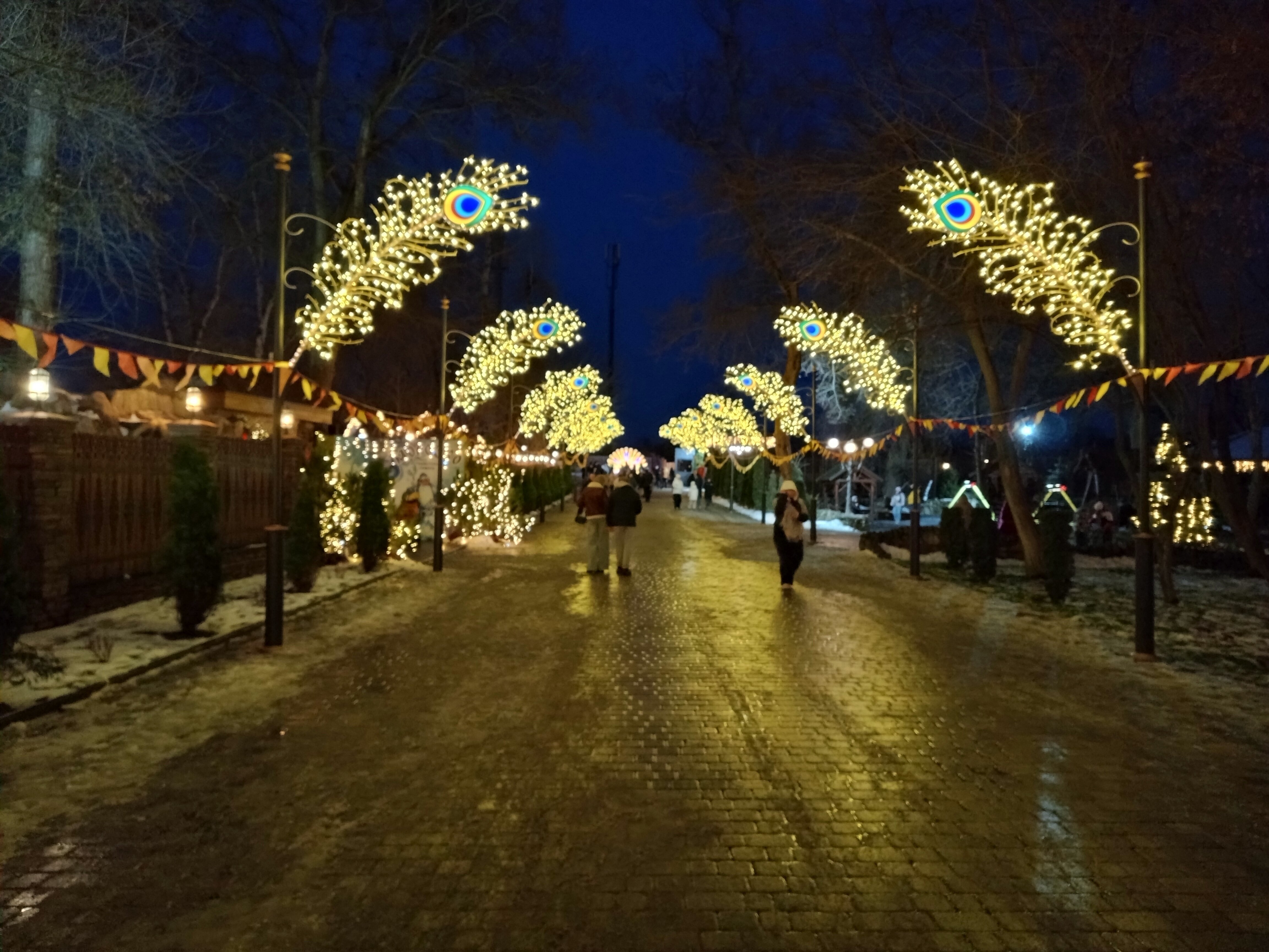 Фото Парк-отель Княжий