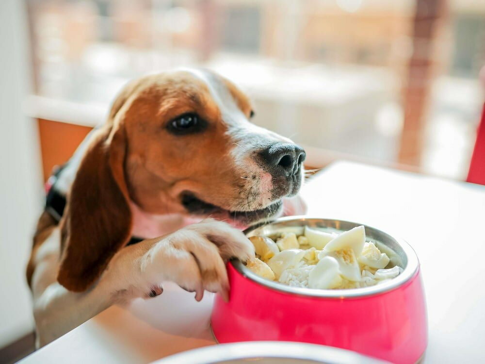 Фото Ibis Düsseldorf Hauptbahnhof