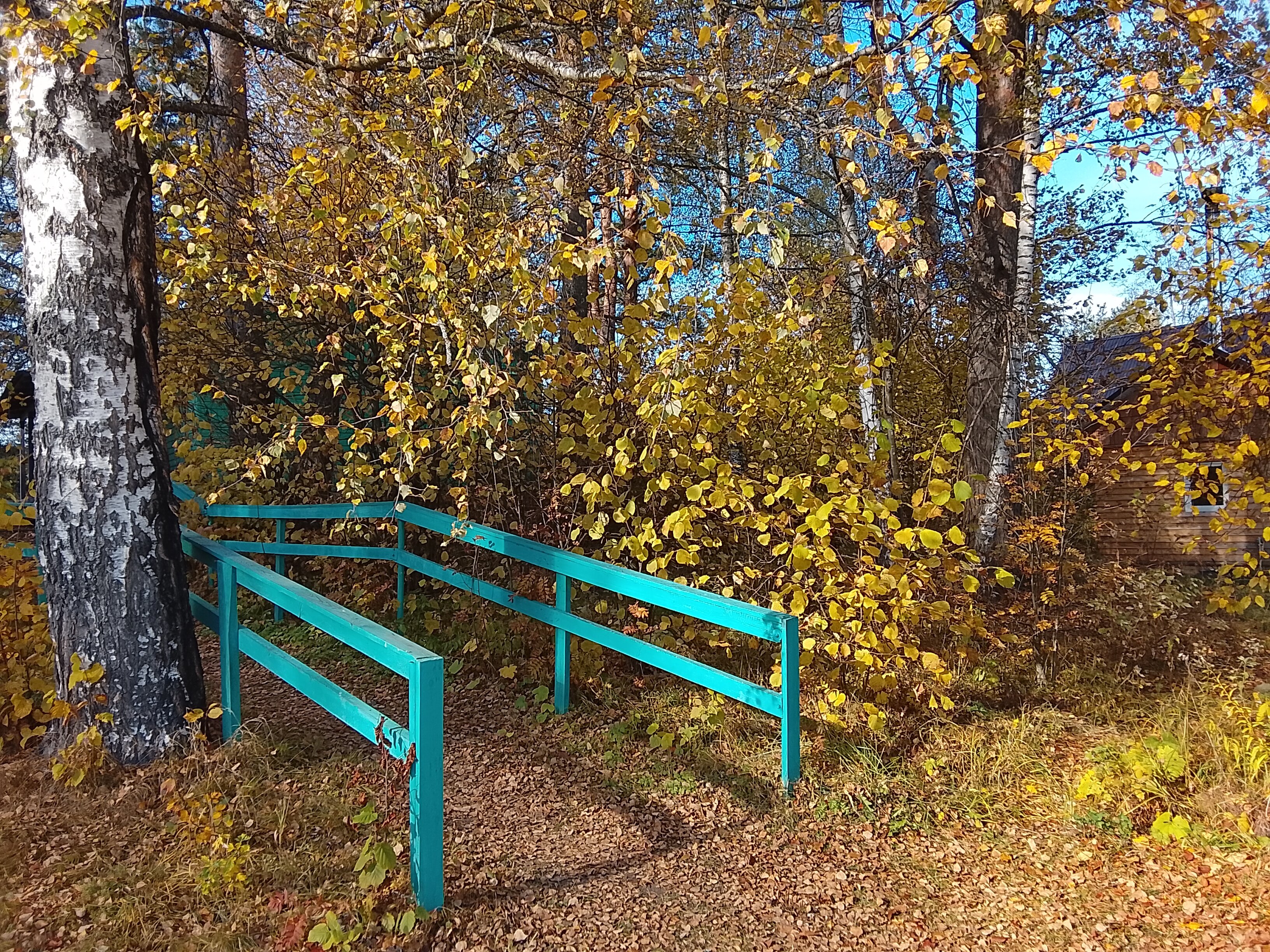 Фото Страна семи сов