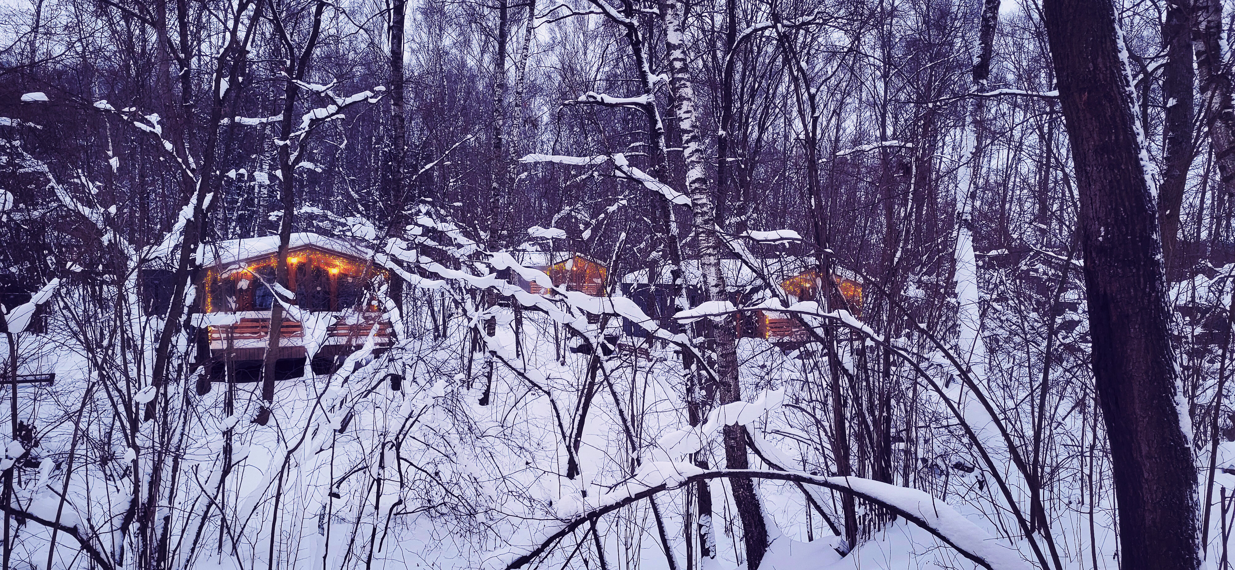 Фото Ореховая роща