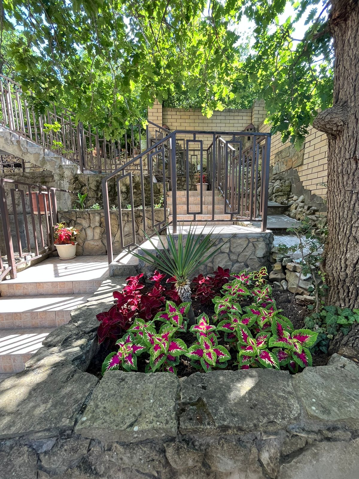 Фото Горный Воздух