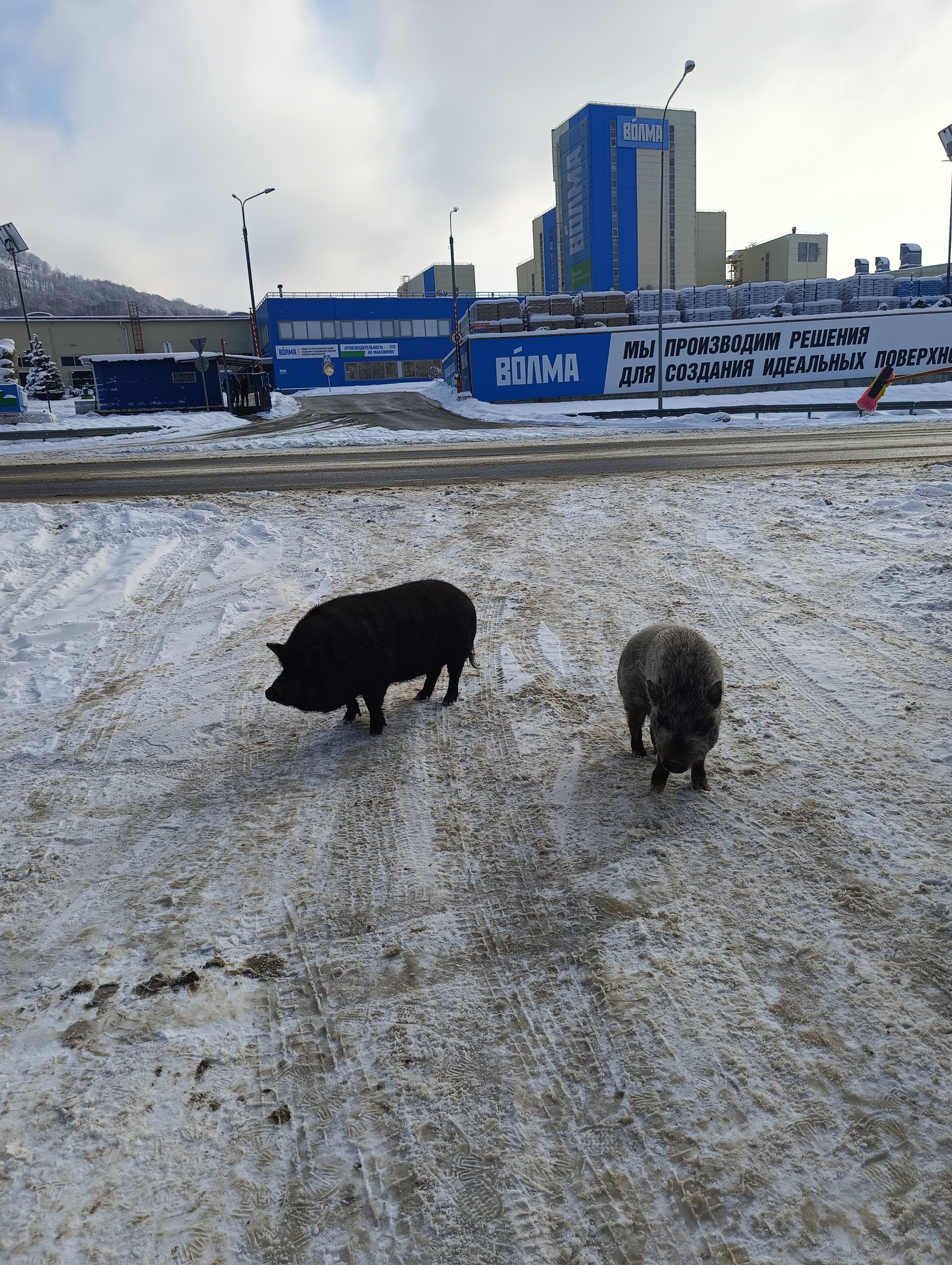 Фото Беловодие