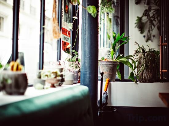 Фото Monsieur Helder