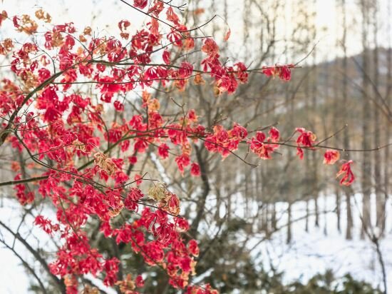 Фото Dalian Bangchui Island Hotel