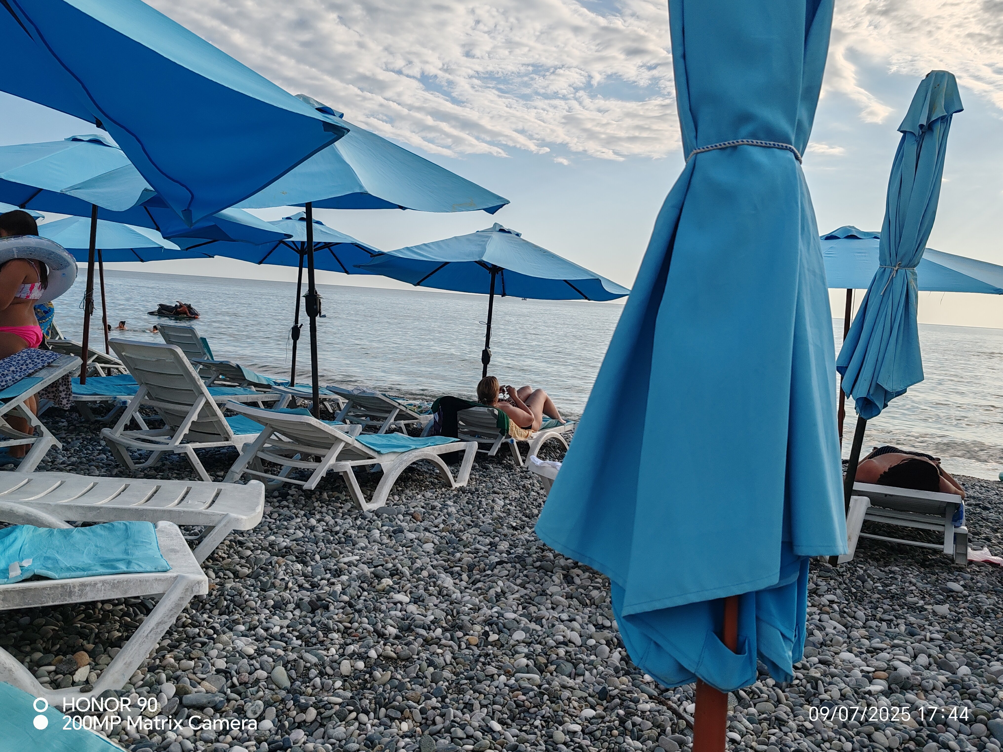 Фото Орхидея