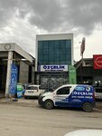 Özçelik (Ankara Province, Yenimahalle, Ergazi Neighborhood, 1807th Avenue, 28), auto parts and auto goods store
