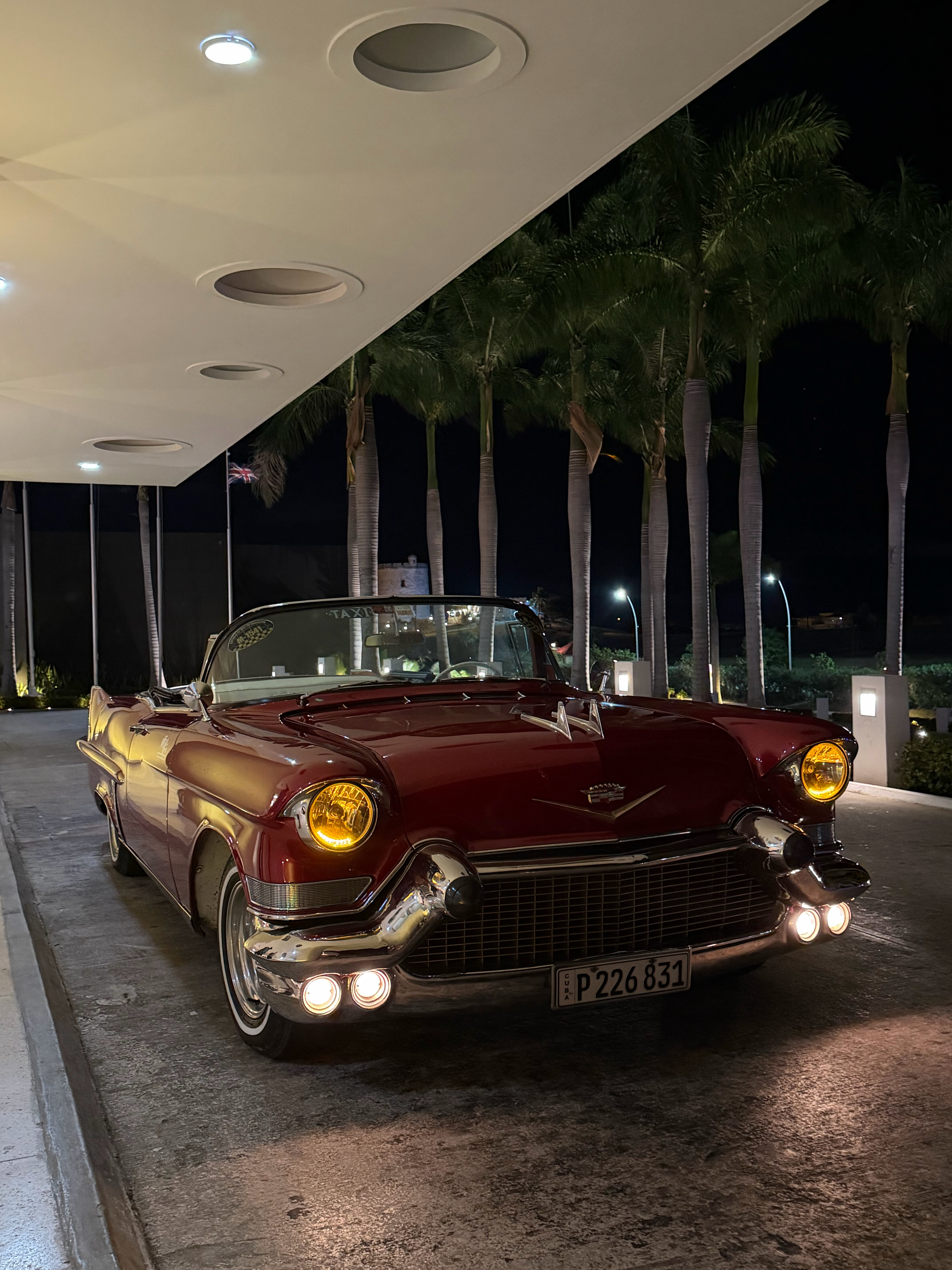 Фото Melia Internacional