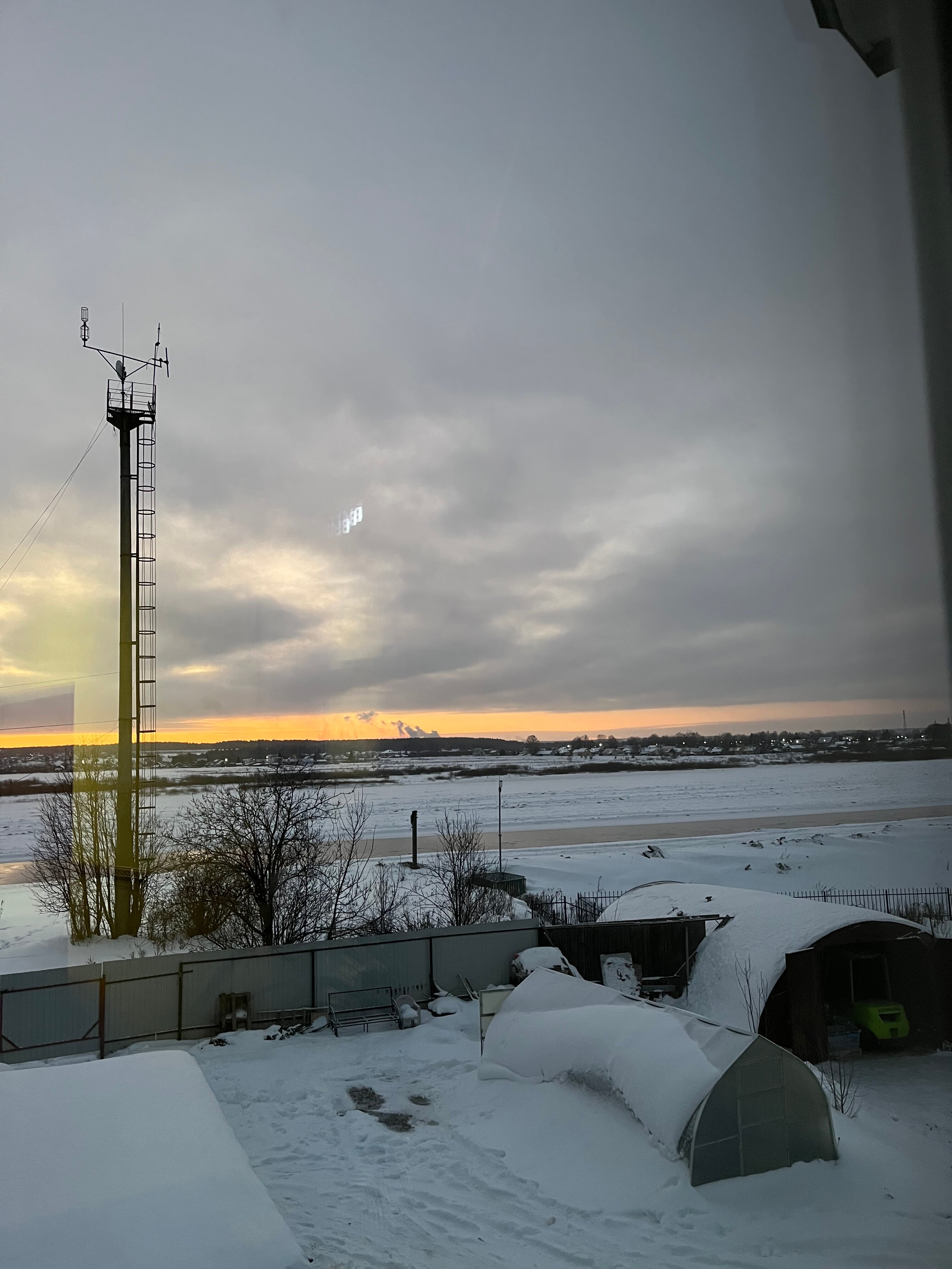 Фото Чайка