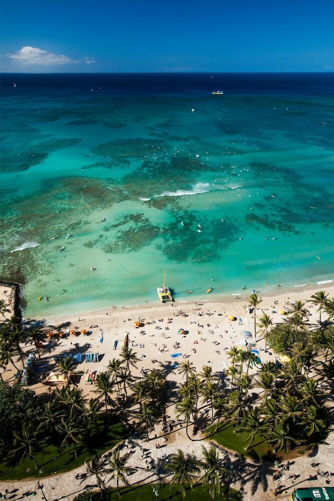 Фото Hyatt Regency Waikiki Beach Resort & SPA