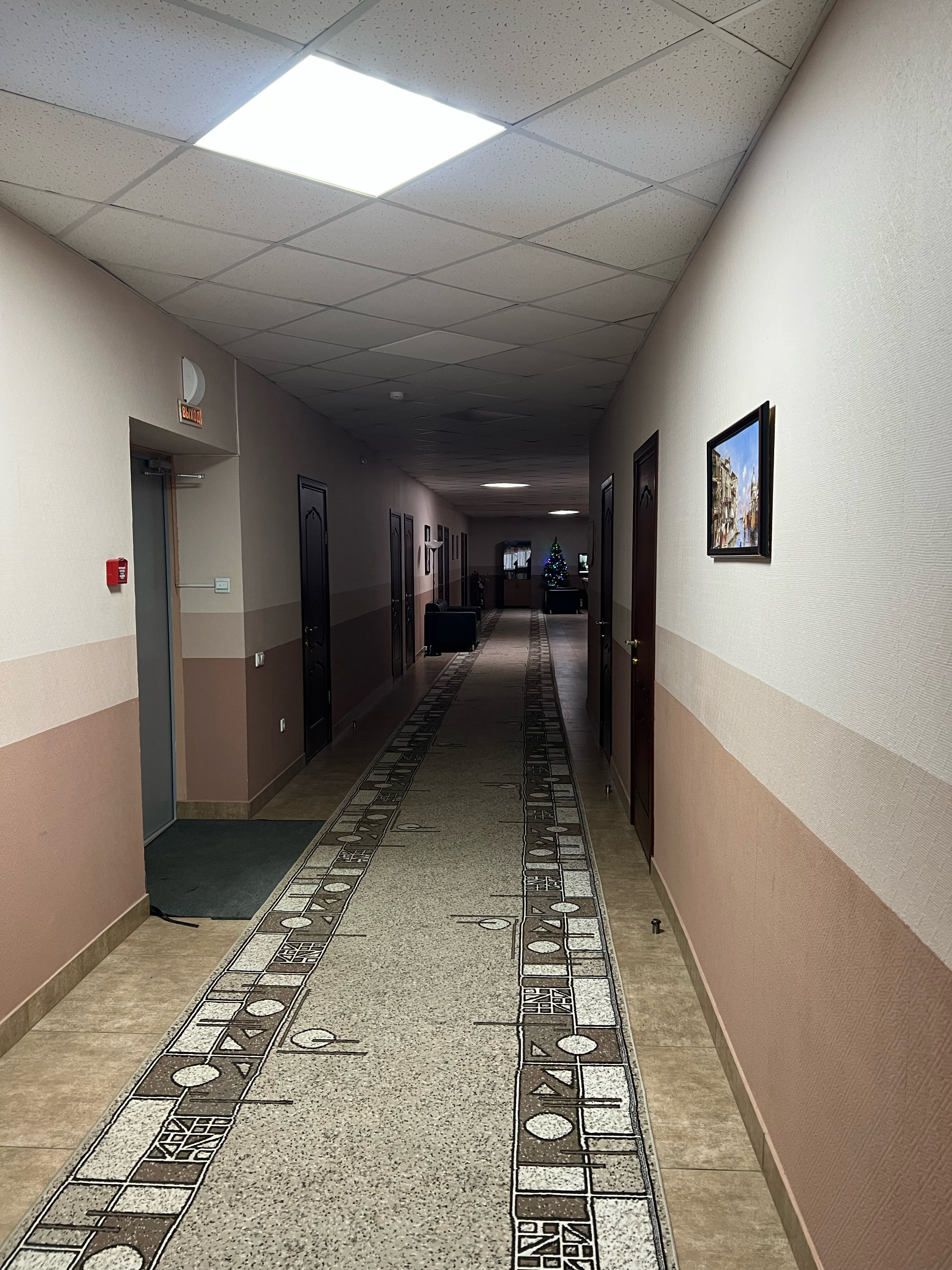 Фото Зори