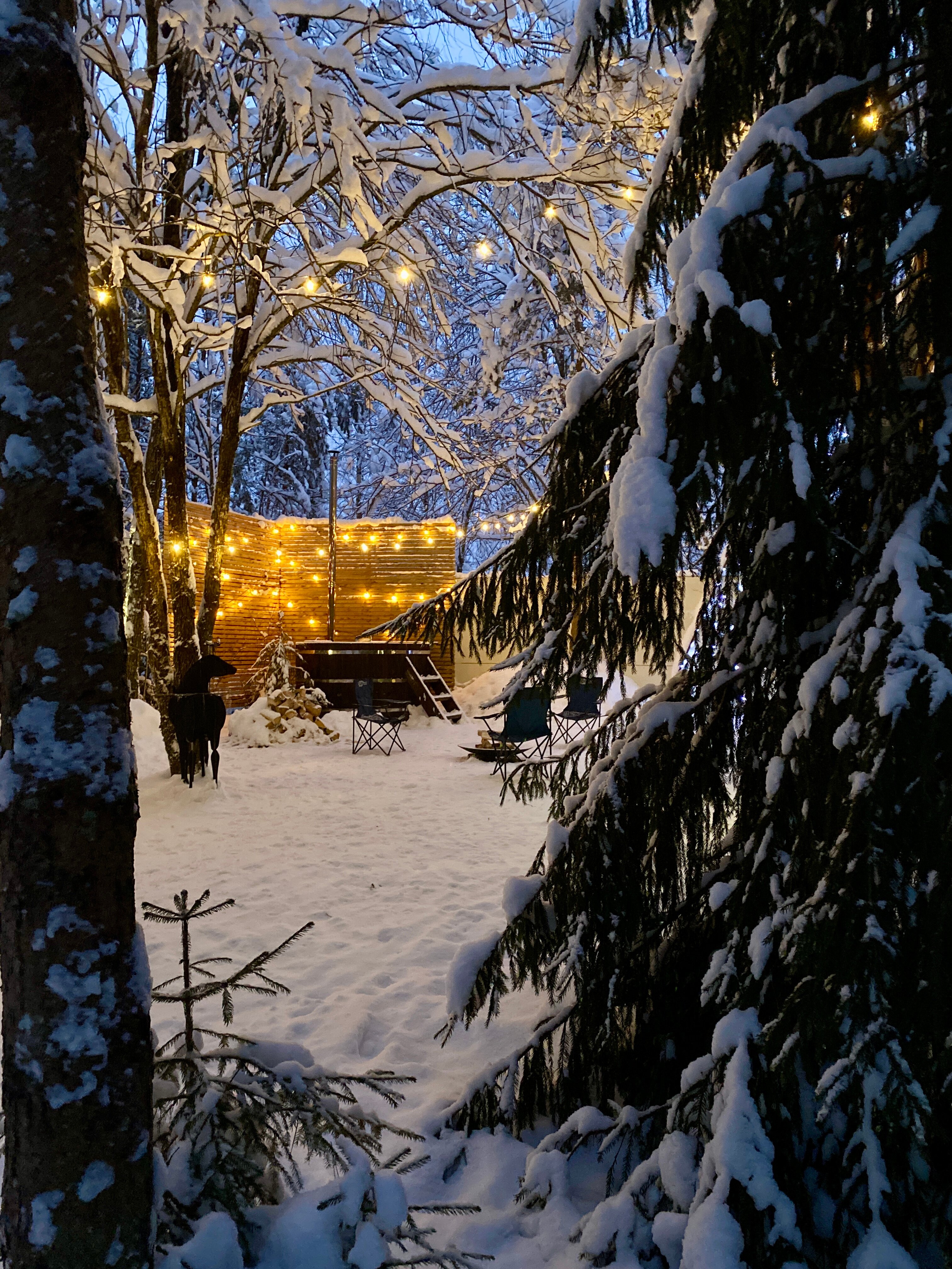 Фото Мой дом Валдай