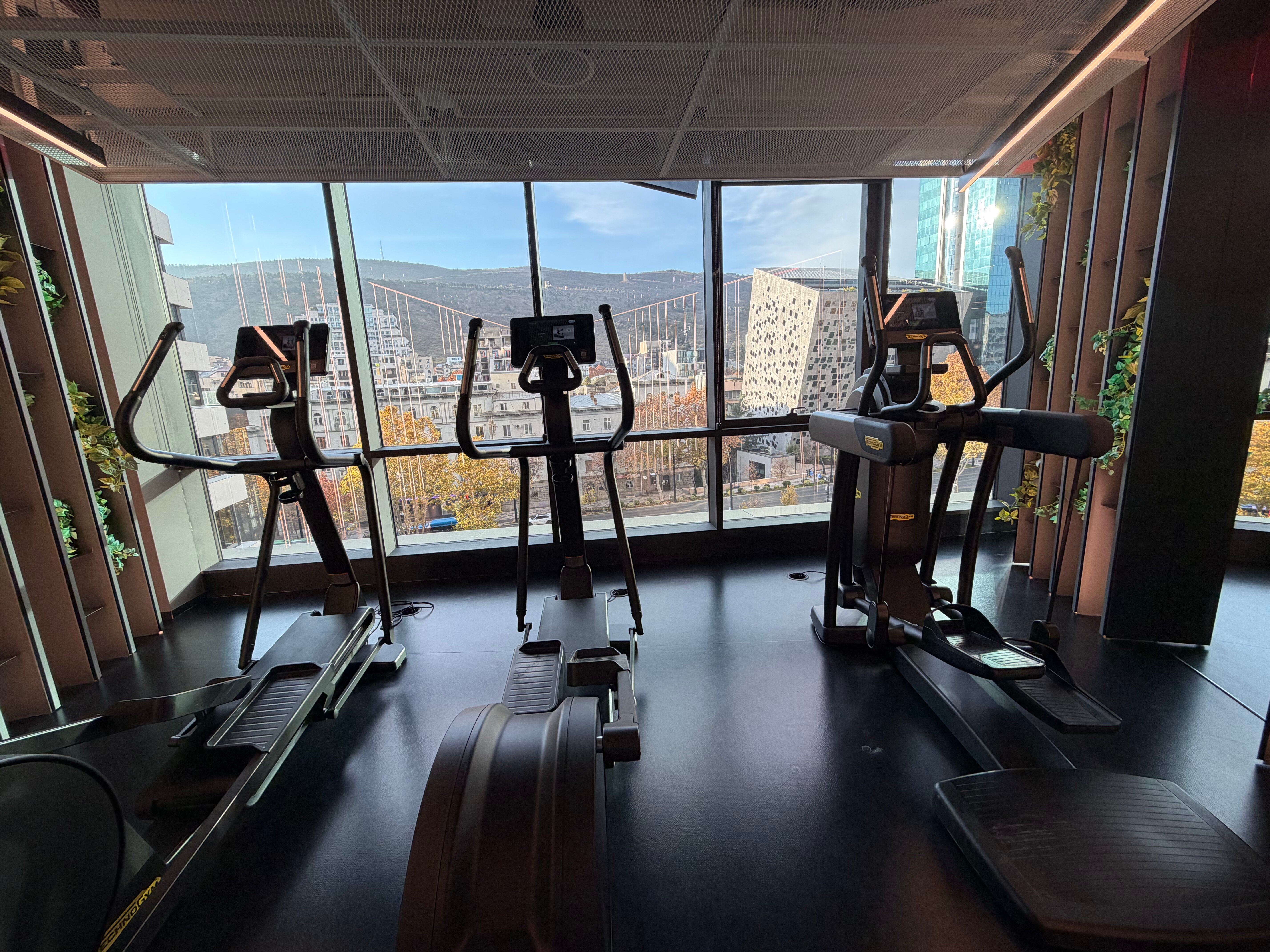 Фото Pullman Tbilisi Axis Towers