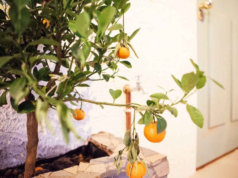 Фото Hotel Not Hotel Amsterdam