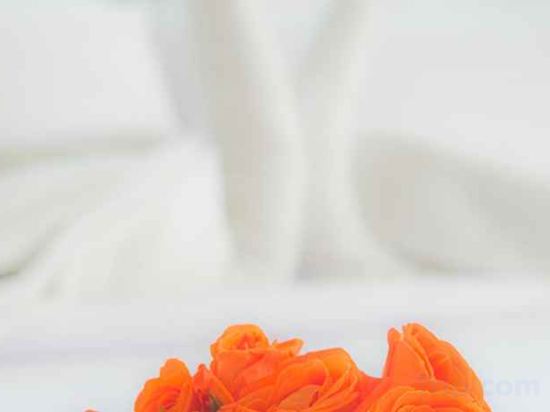 Фото J Hotel Bandara Soekarno Hatta