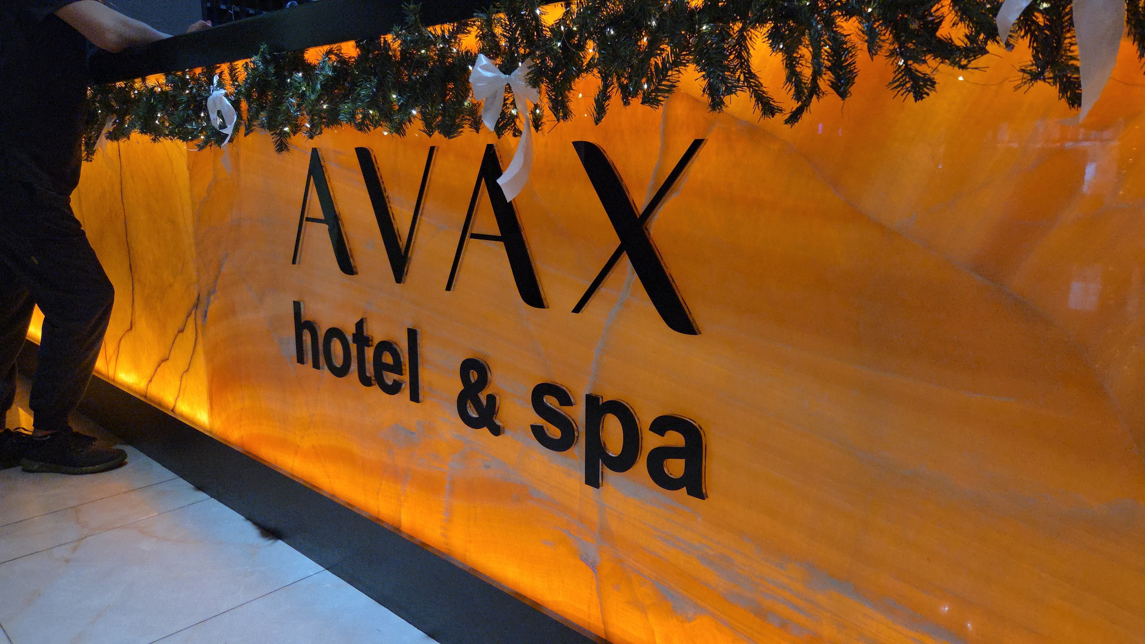 Фото Grand SPA Hotel Avax