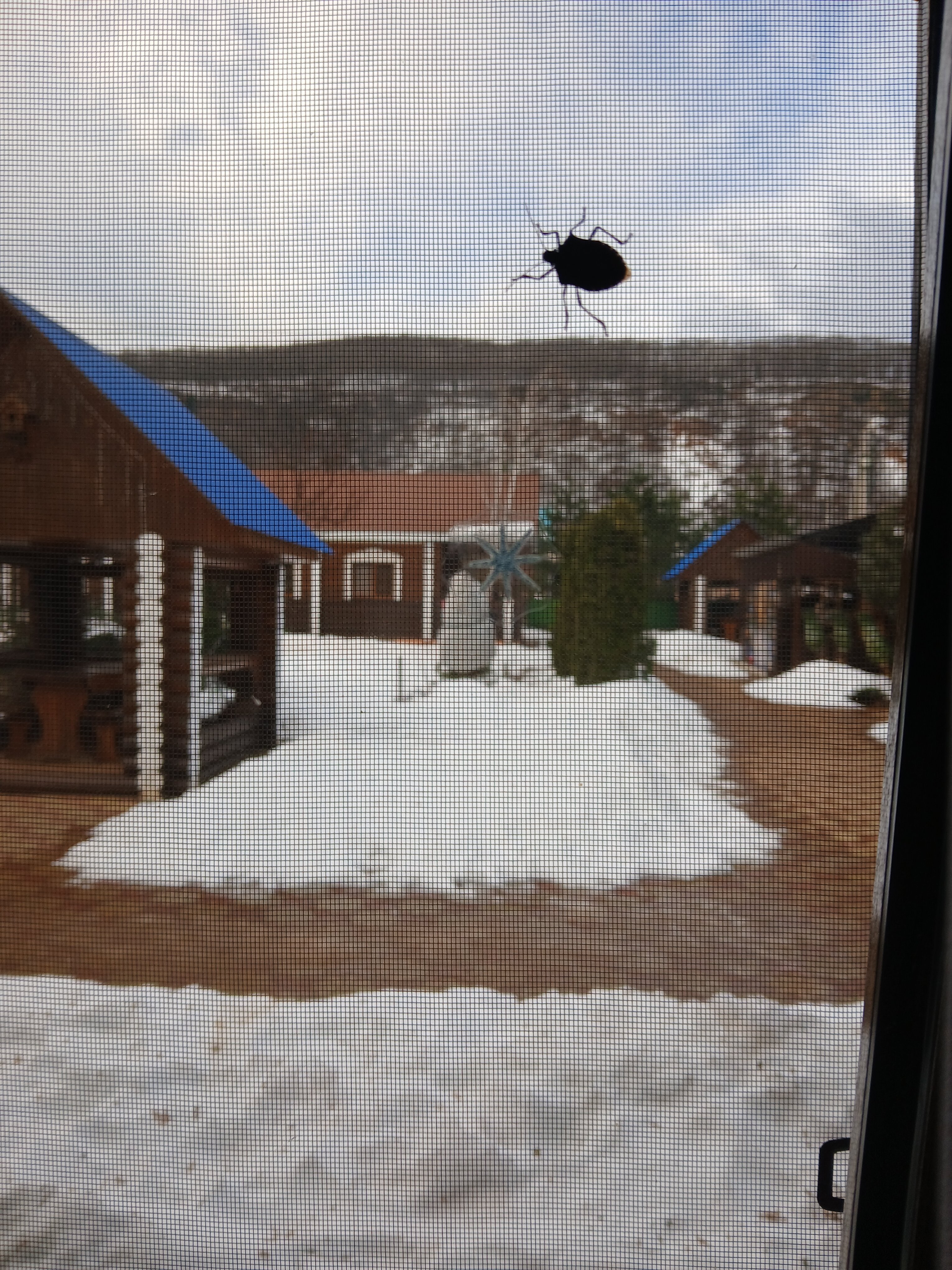 Фото Солнечная