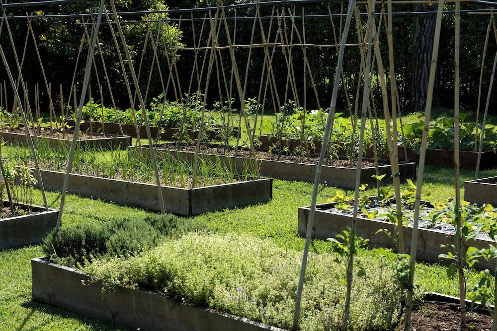 Фото Hermitage Hotel & Resort