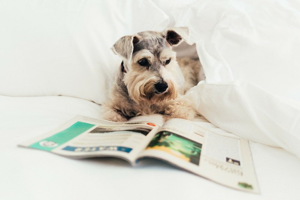 Фото Loews Atlanta Hotel