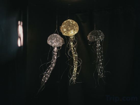 Фото Thalazur Antibes