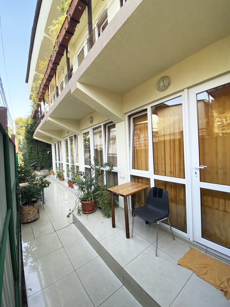 Фото Диковинка Сочи