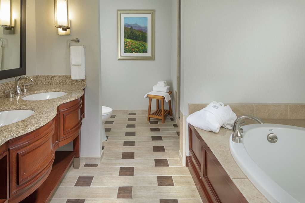 Фото DoubleTree by Hilton Asheville Biltmore