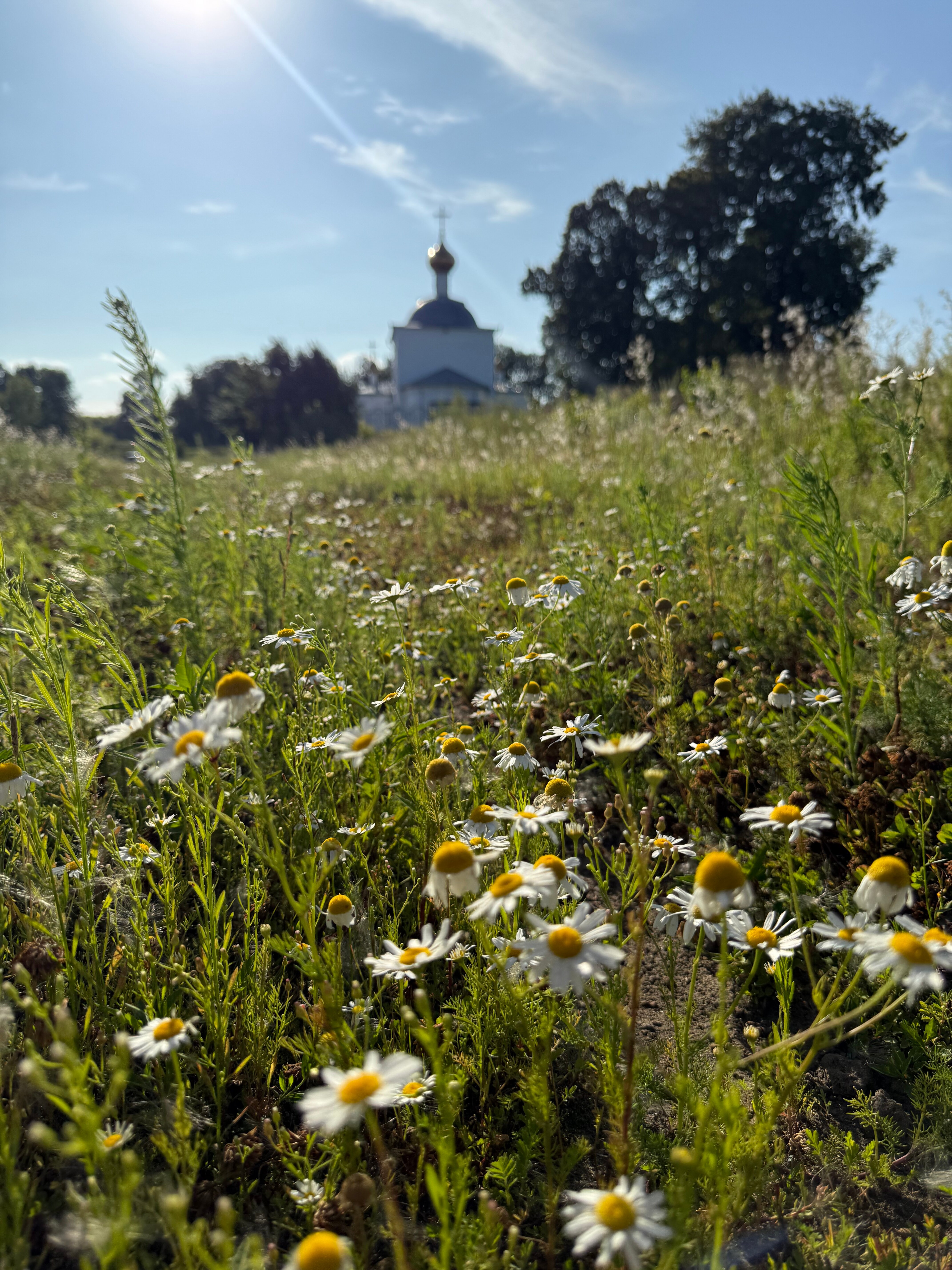 Фото Обитель