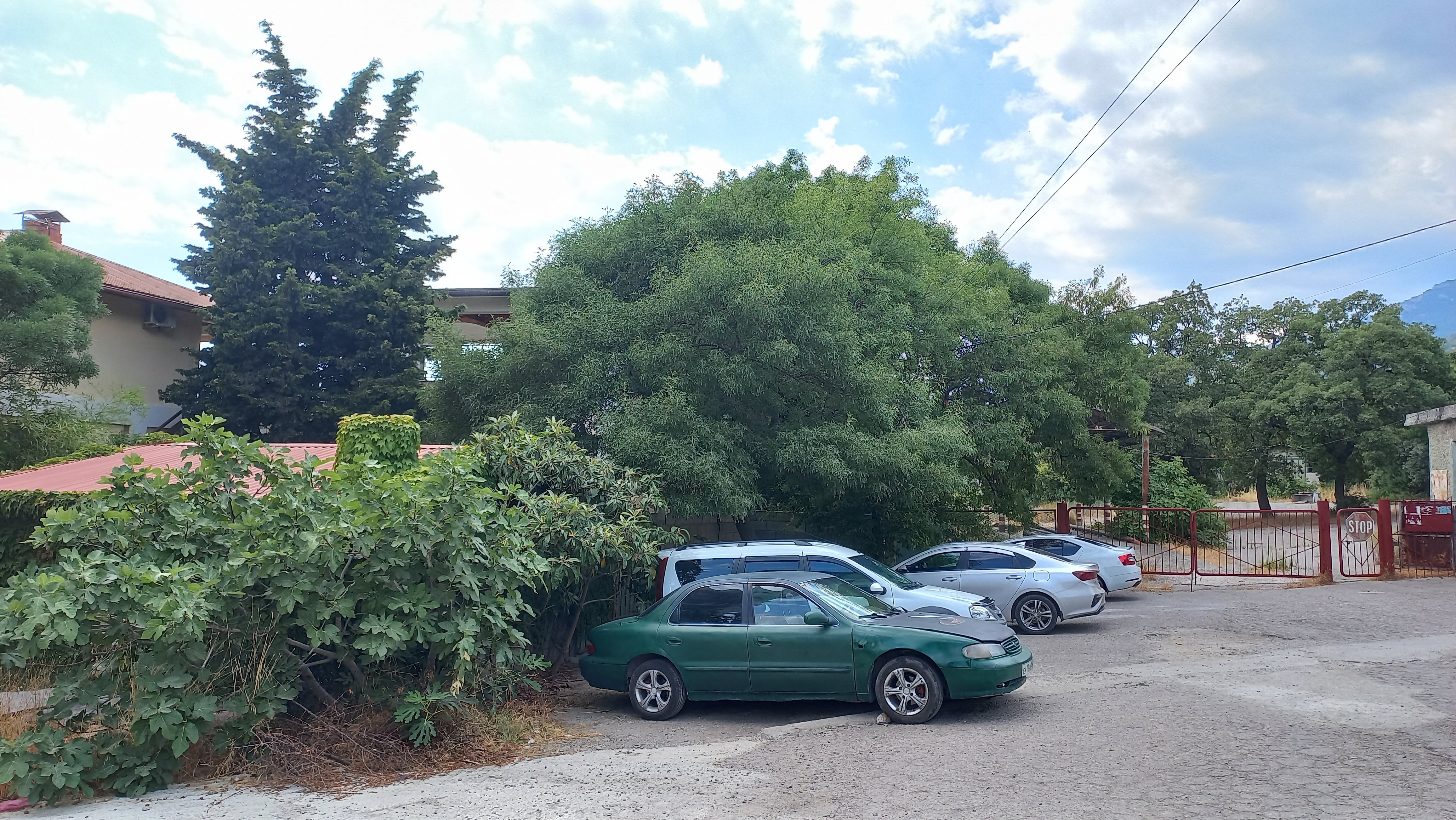 Фото Большая медведица