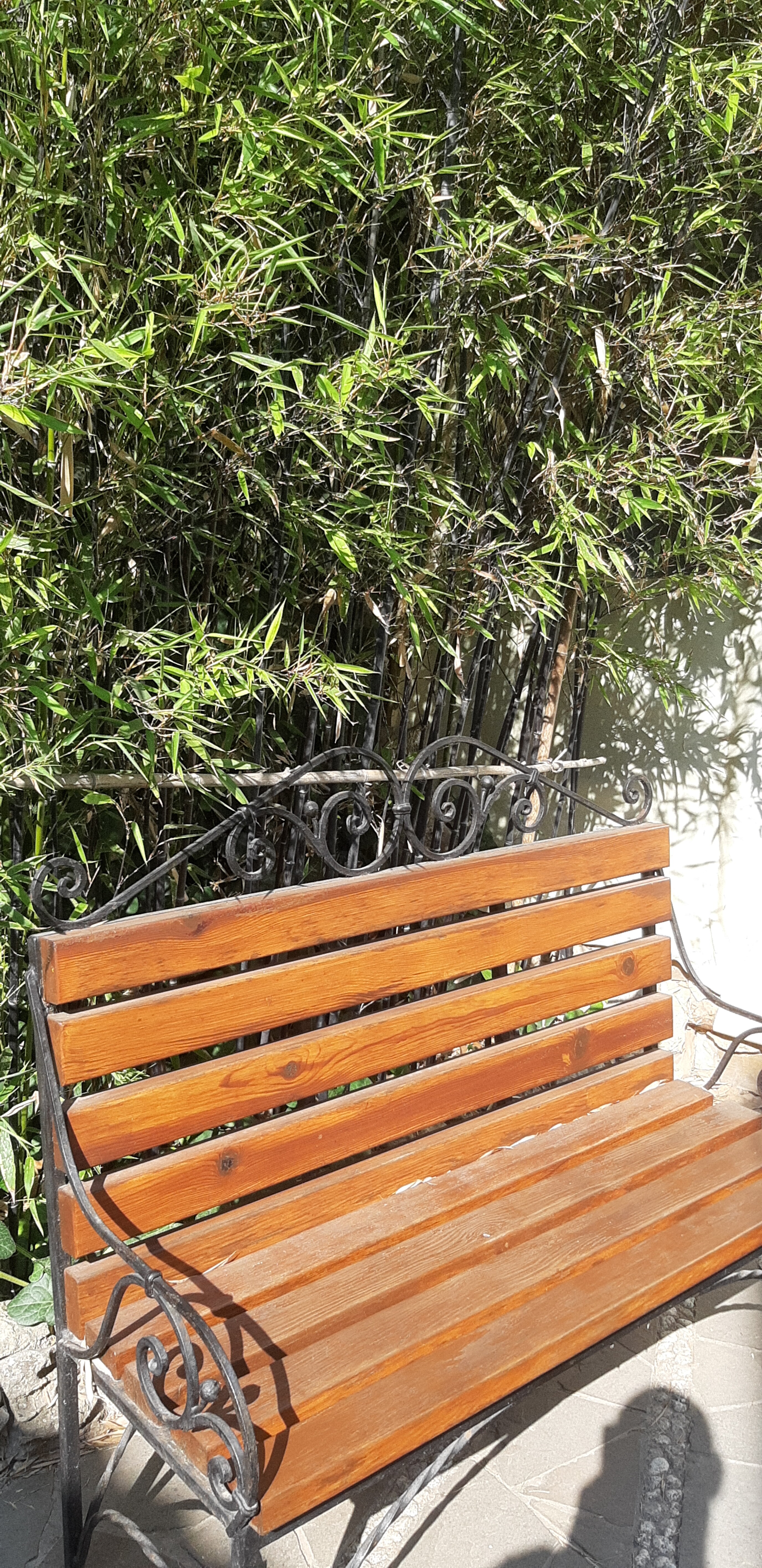 Фото Вилла Opc