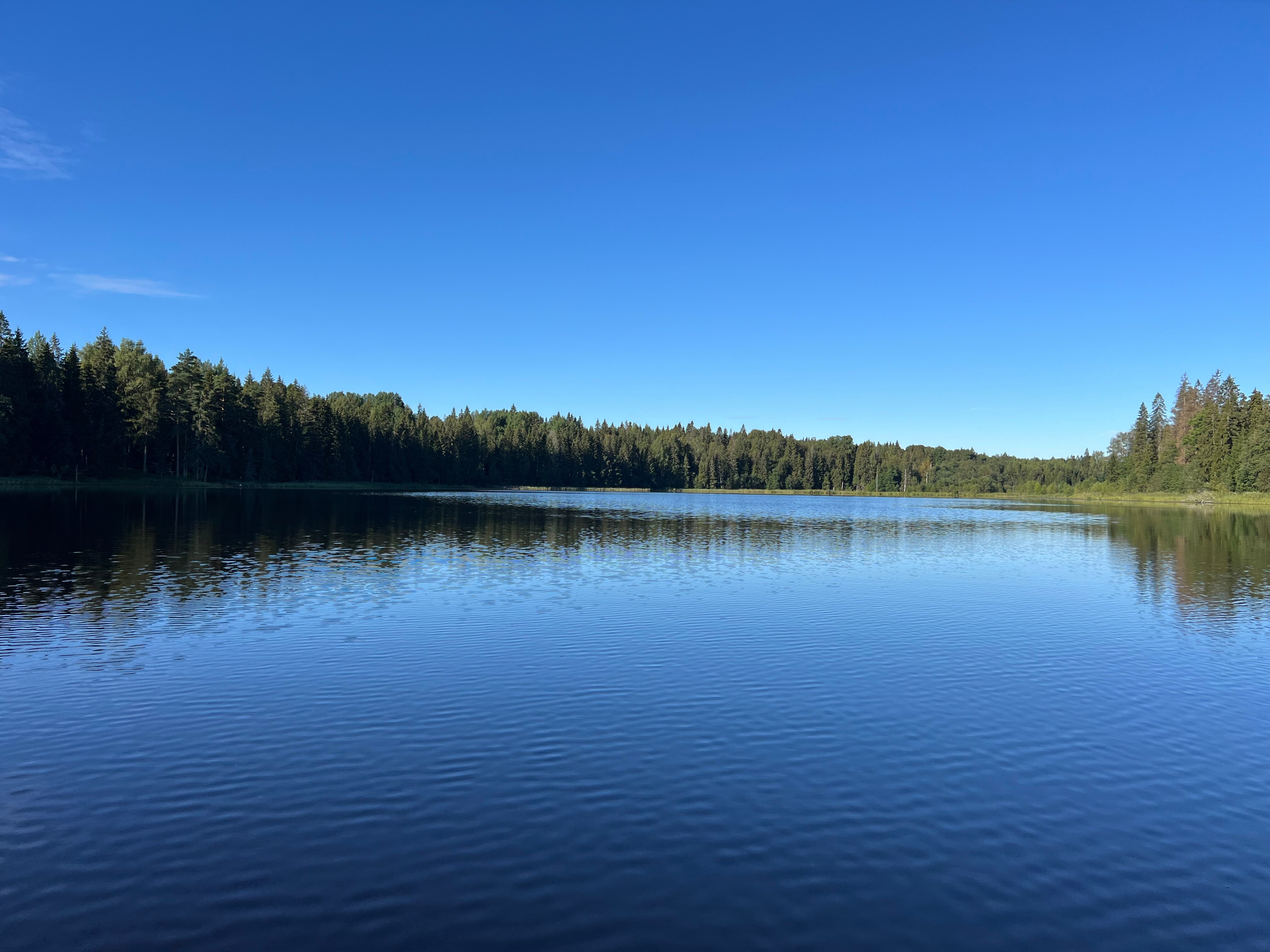 Фото Мыза Иногоща