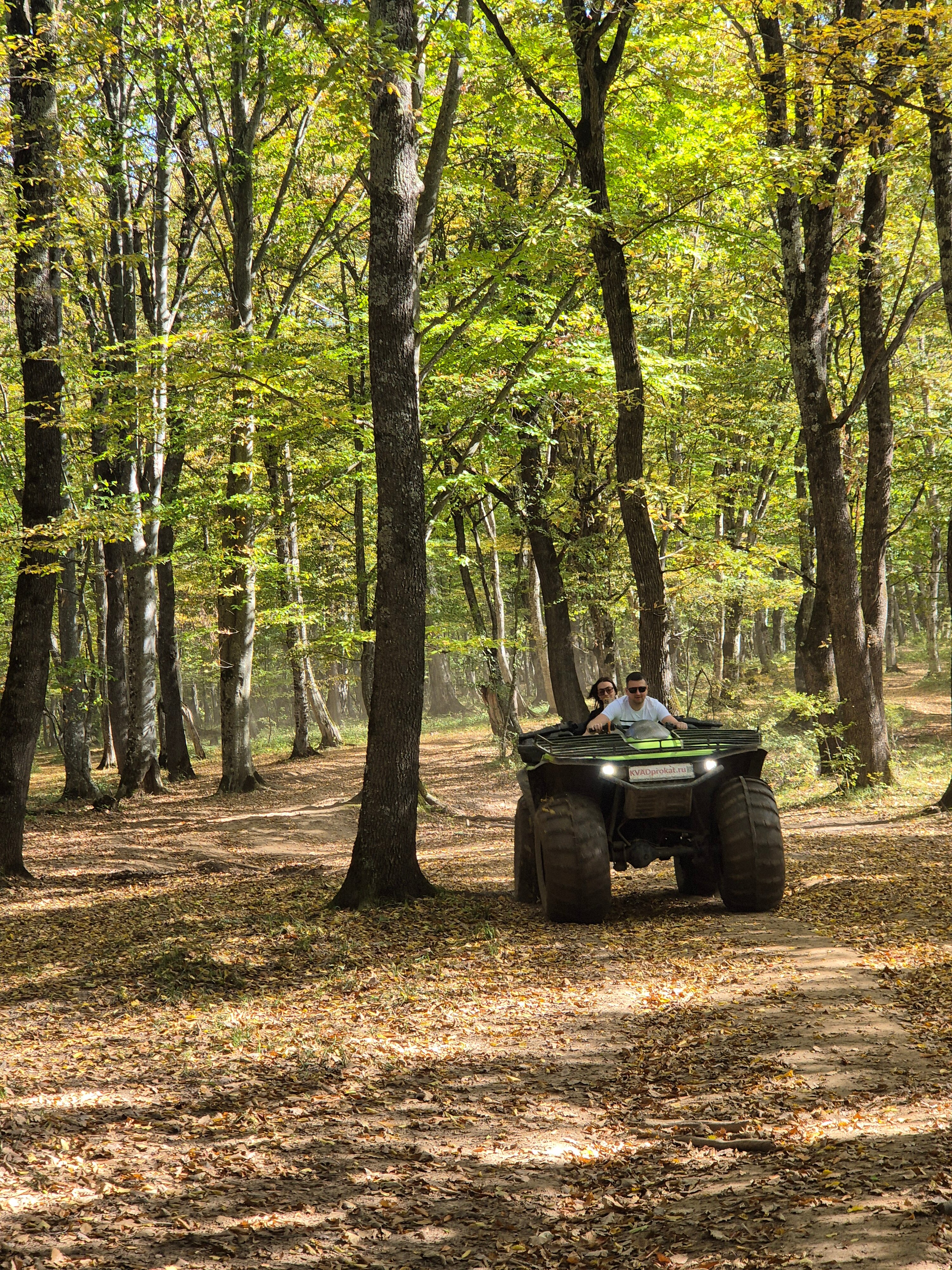 Фото Прохладный