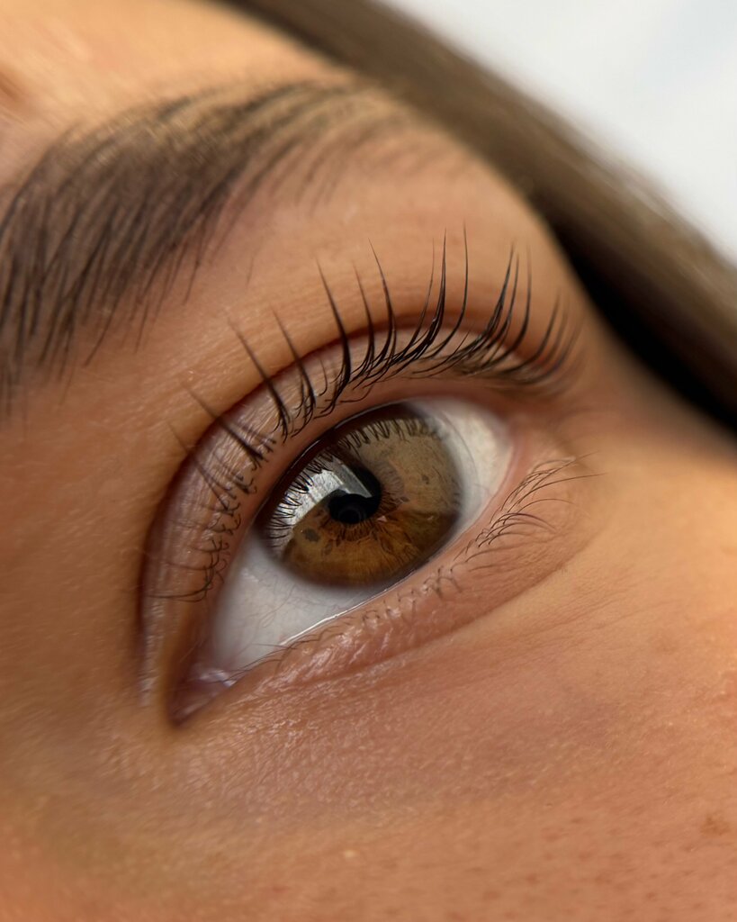 Eyebrow and eyelash salon Ibragimova. lami, Dmitrov, photo