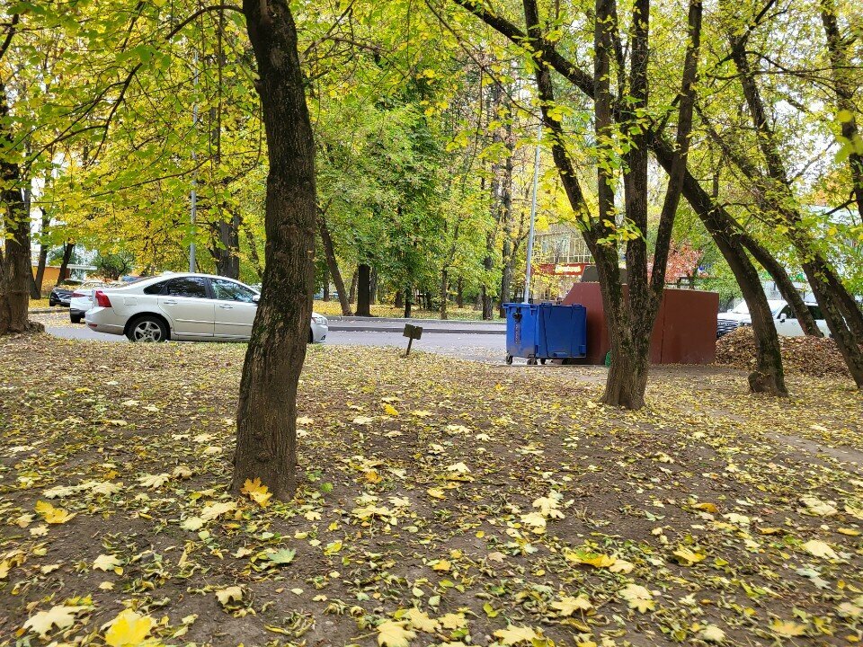 Waste sorting Waste sorting, Moscow, photo