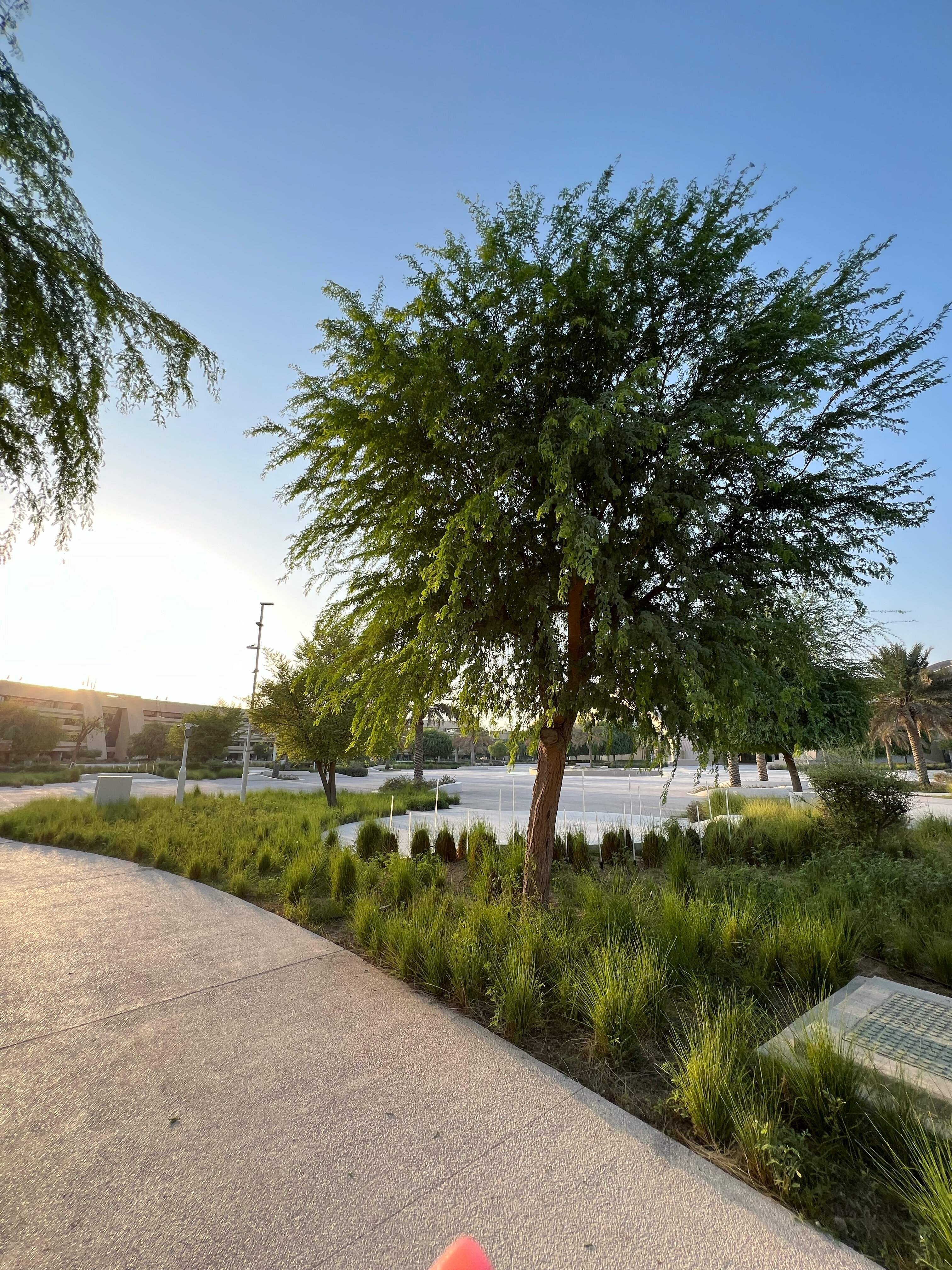 Фото Erth Abu Dhabi