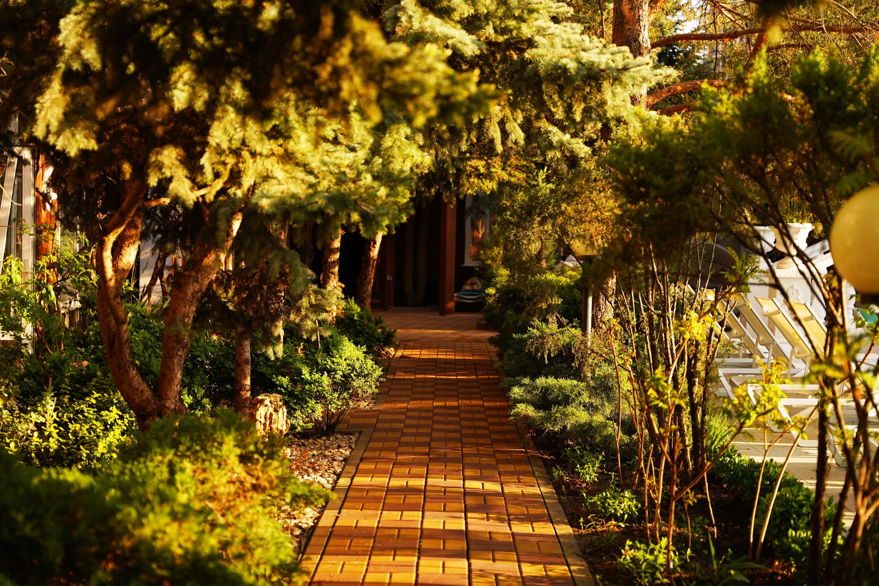 Фото Александр