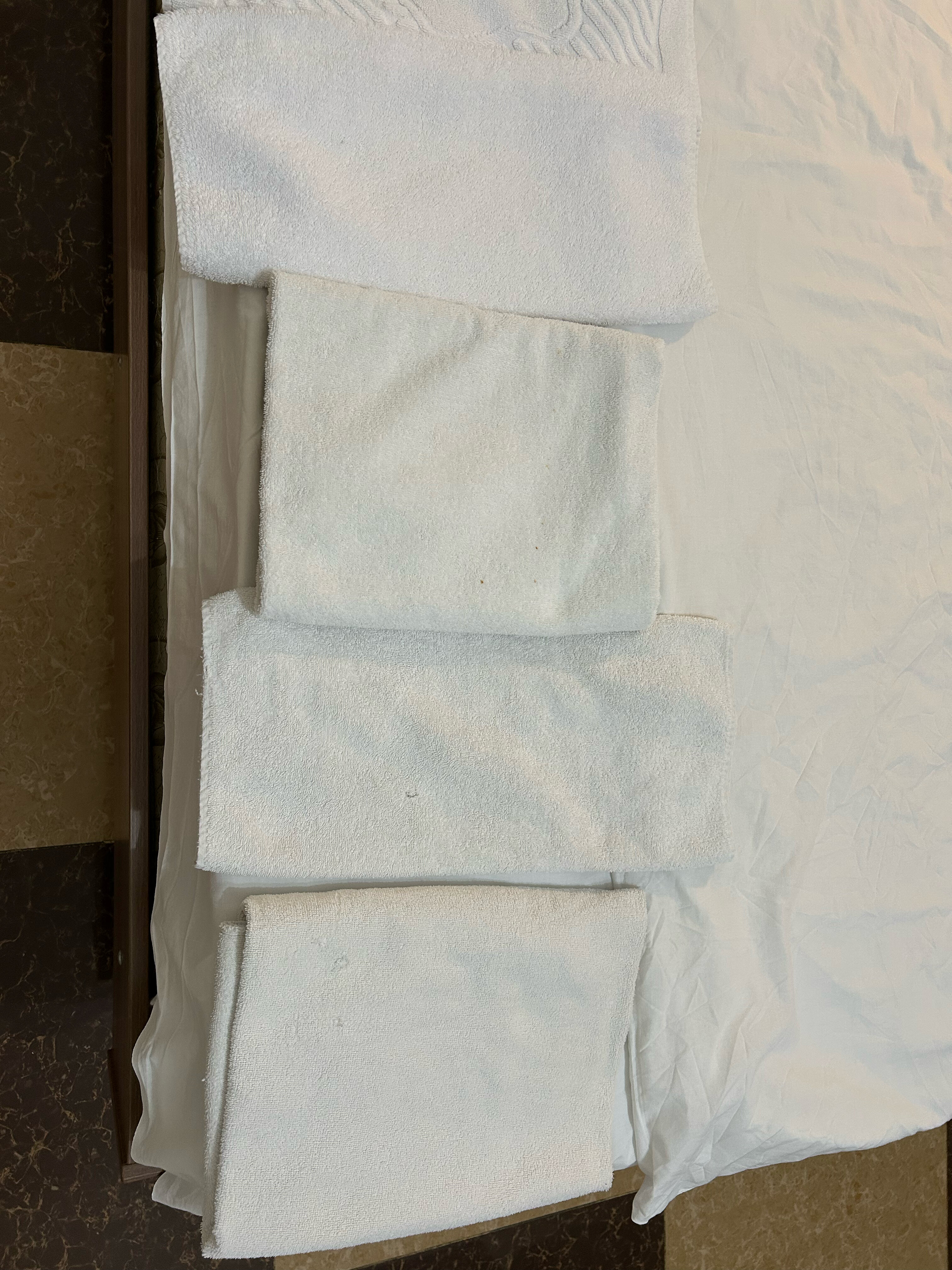 Фото Фестиваль