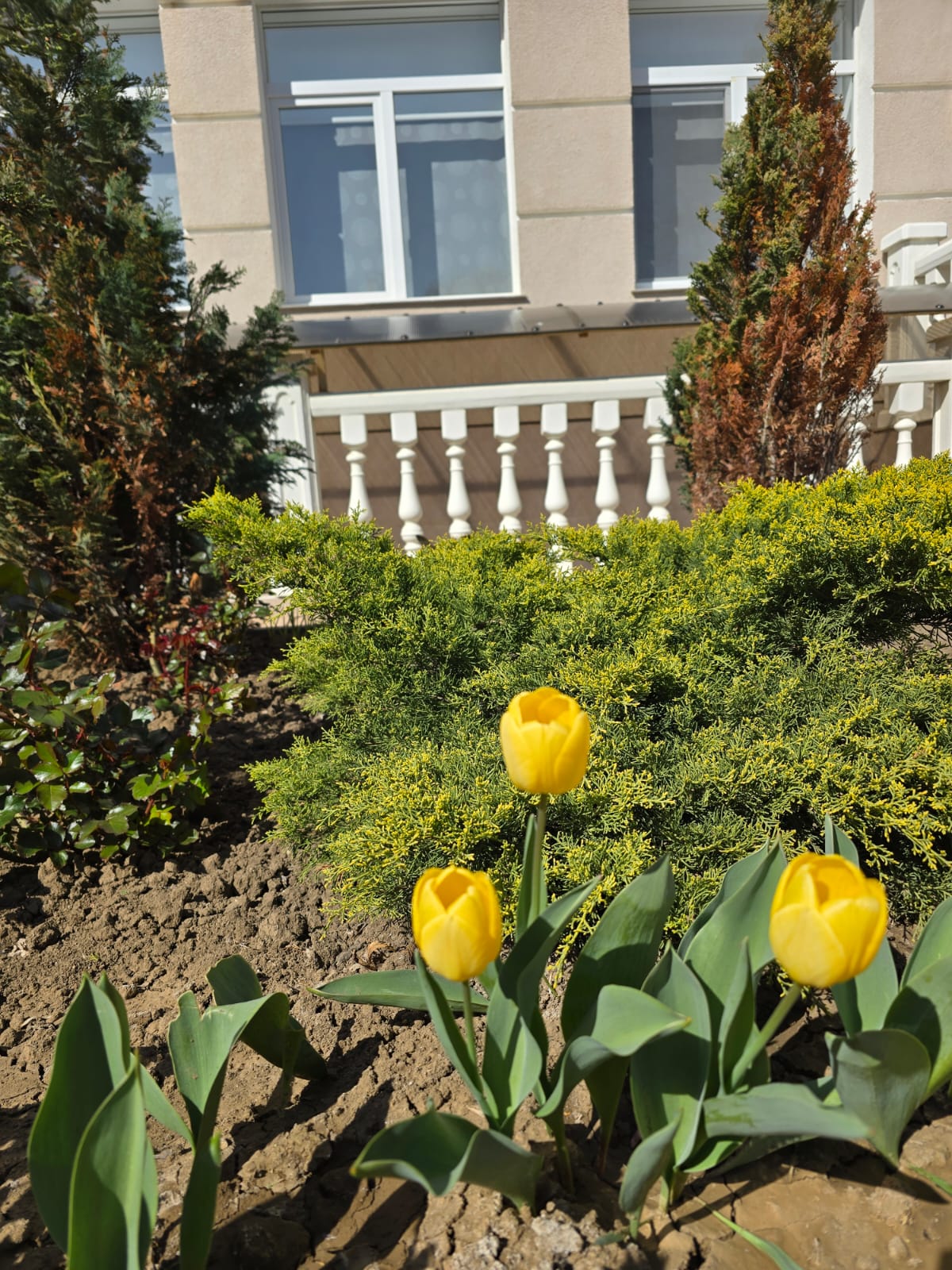 Фото Эмилия